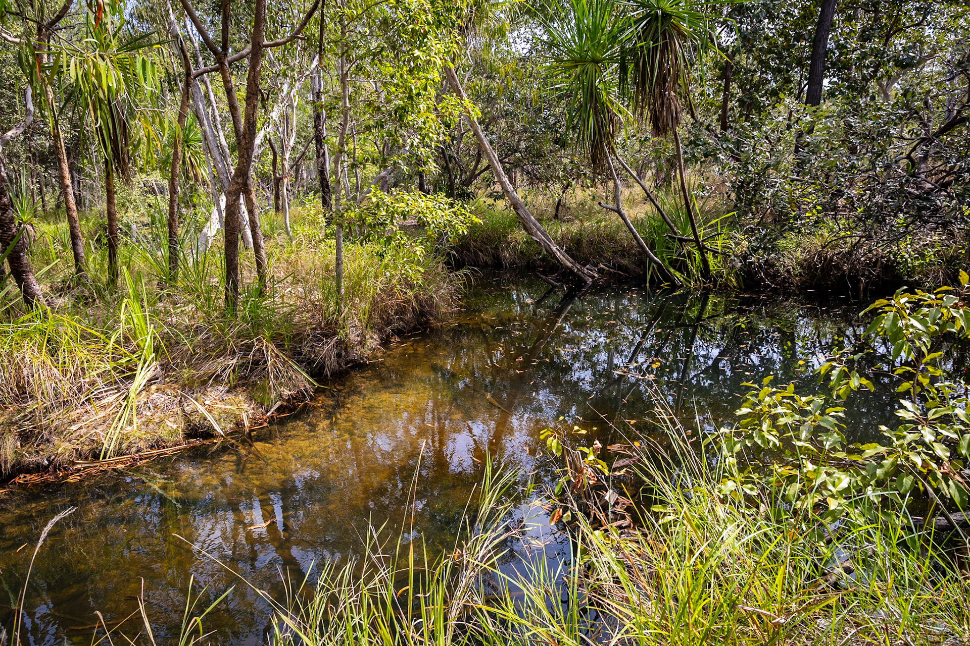A creek crossing on the Murgenella Road to the Cobourg Peninsula