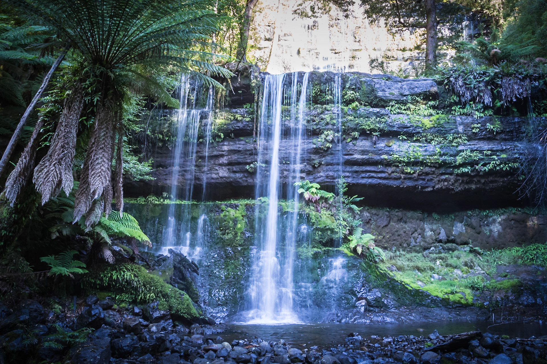 Russell Falls - Mount Field National Park