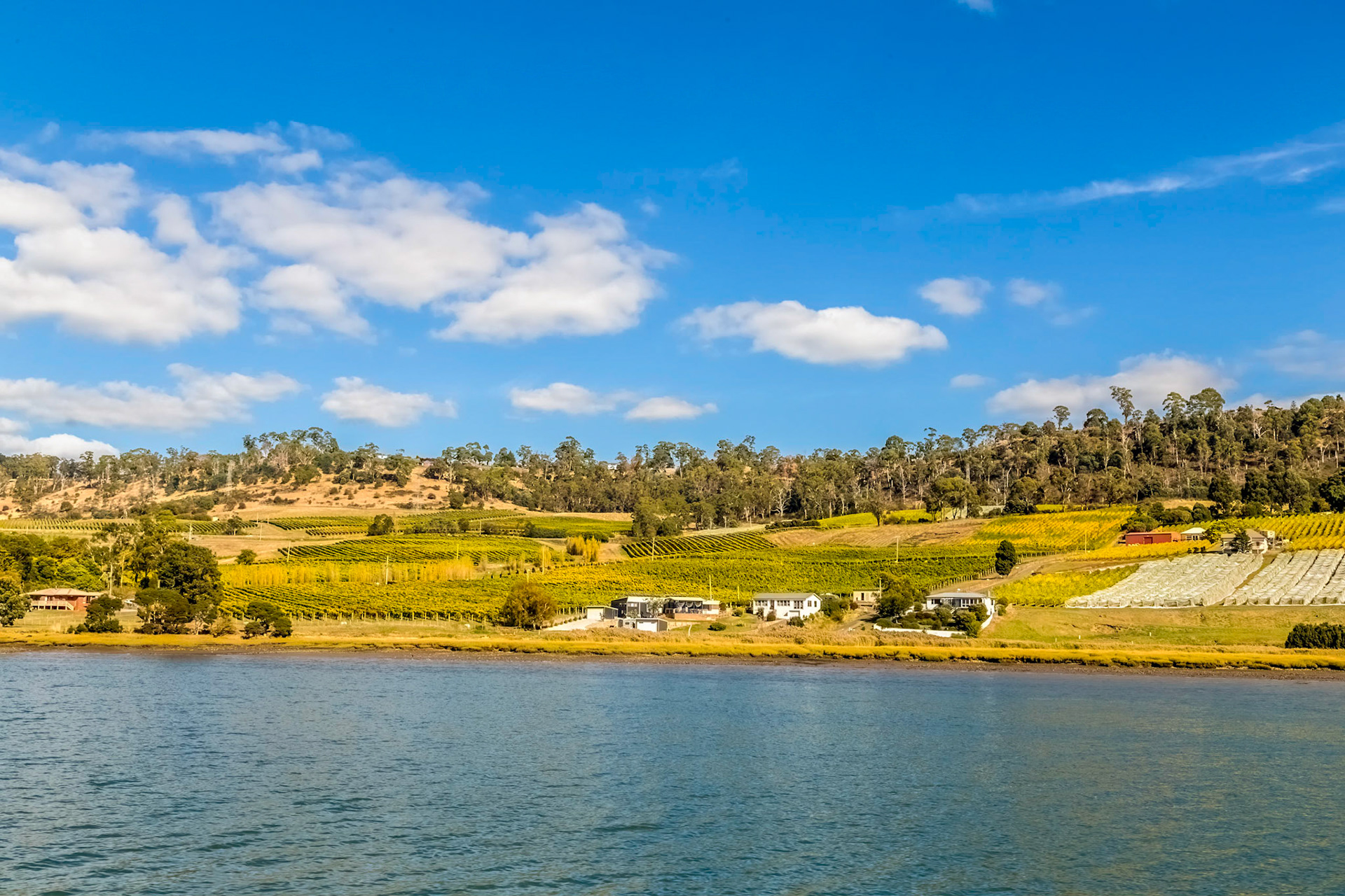 'Tamar Odyssey' river cruise