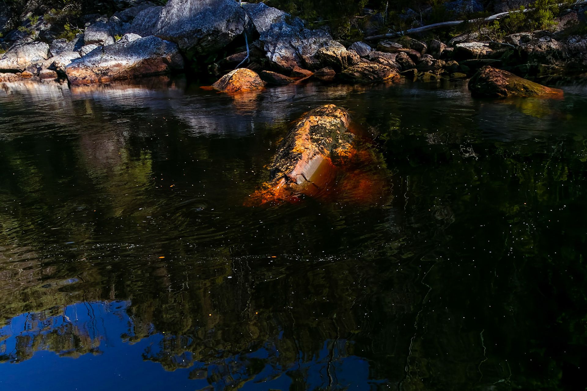 In the Davey River Gorge.