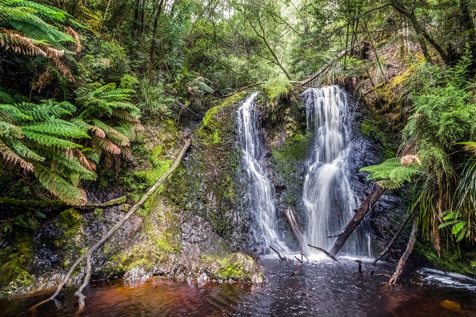 Hogarth Falls, Botanical Creek. Strahan