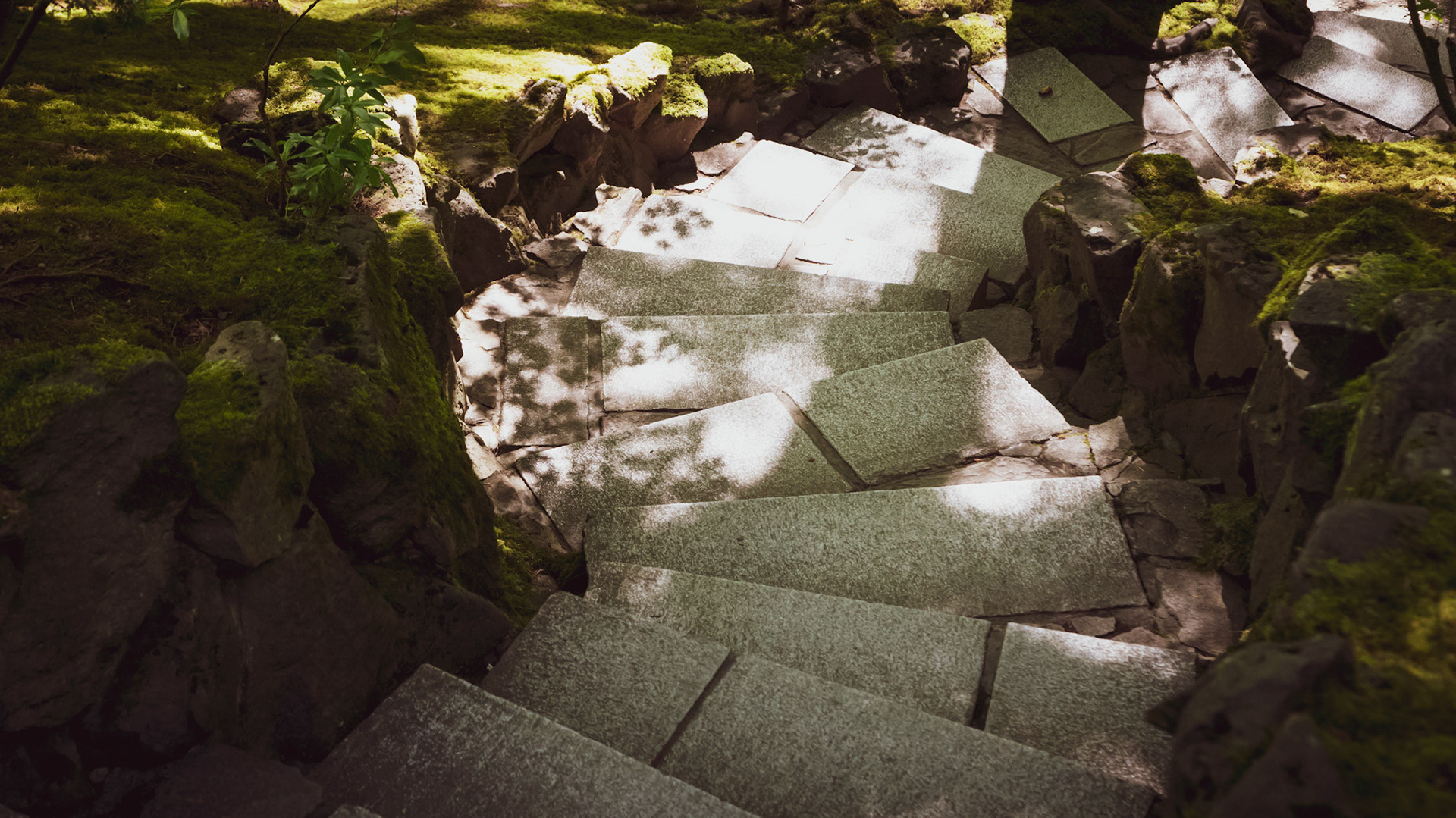In the Portland Japanese Garden