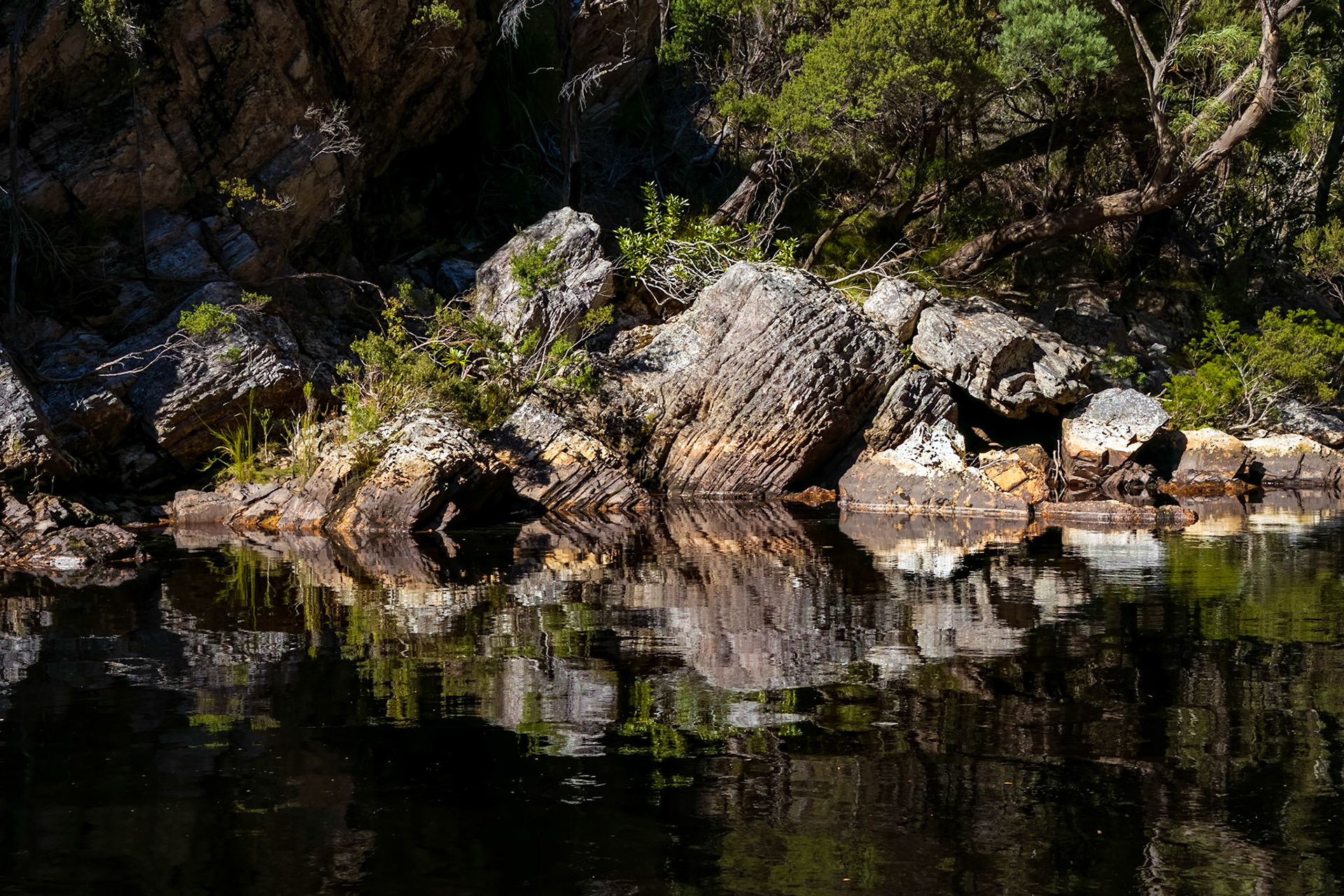 In the Davey River Gorge.