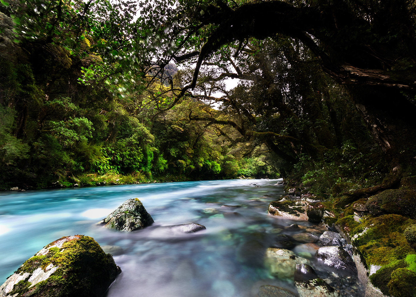 Hollyford River, Southland