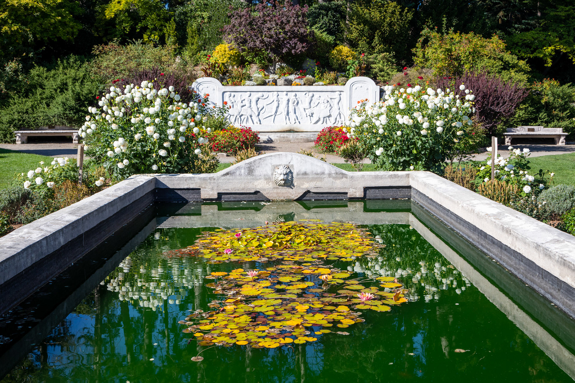 Woodland Park Rose Garden