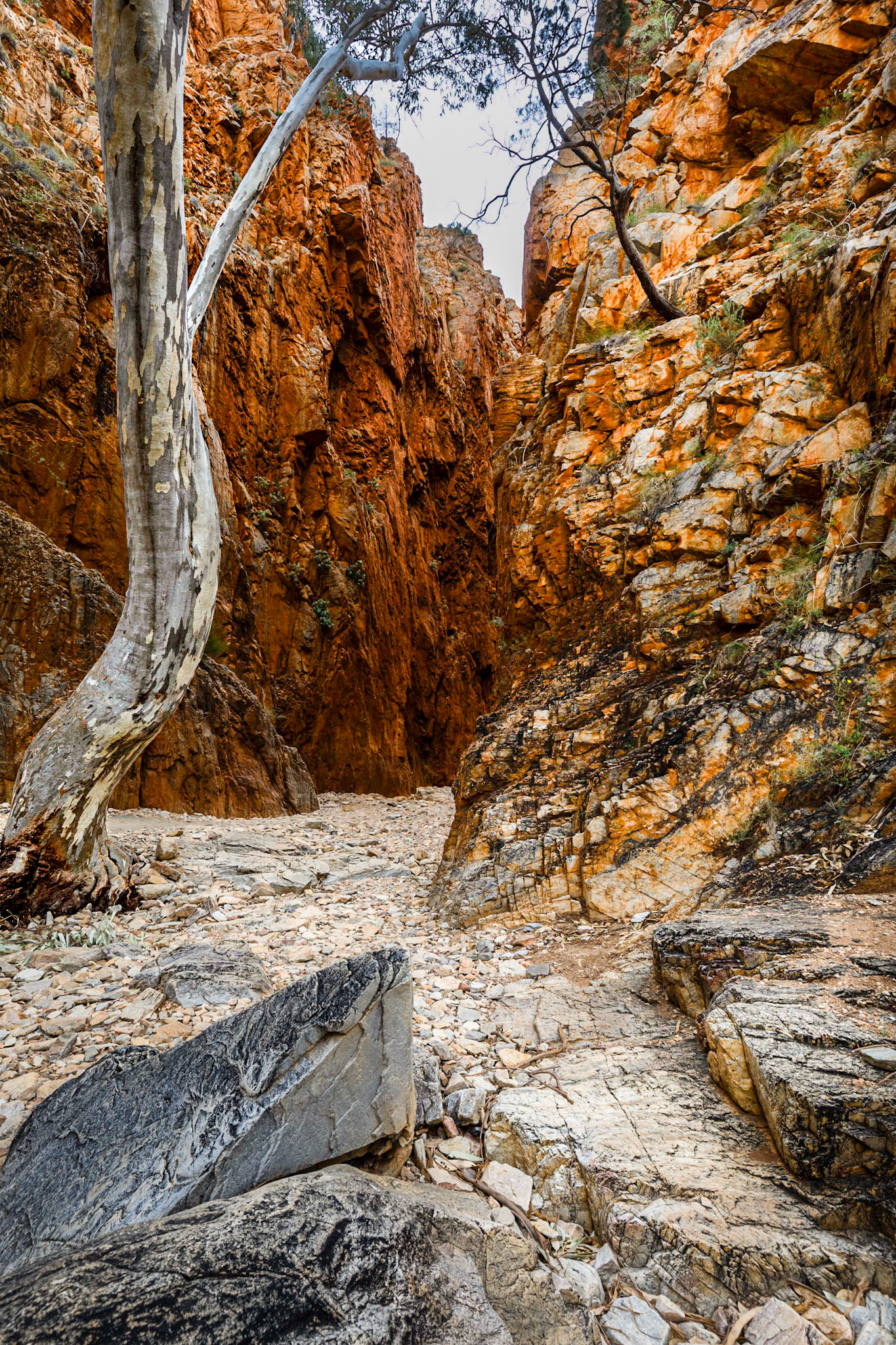 Standley Chasm