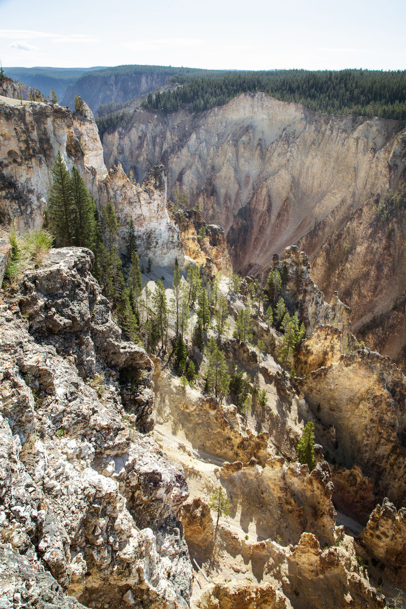 Grand Canyon of the Yellowstone
