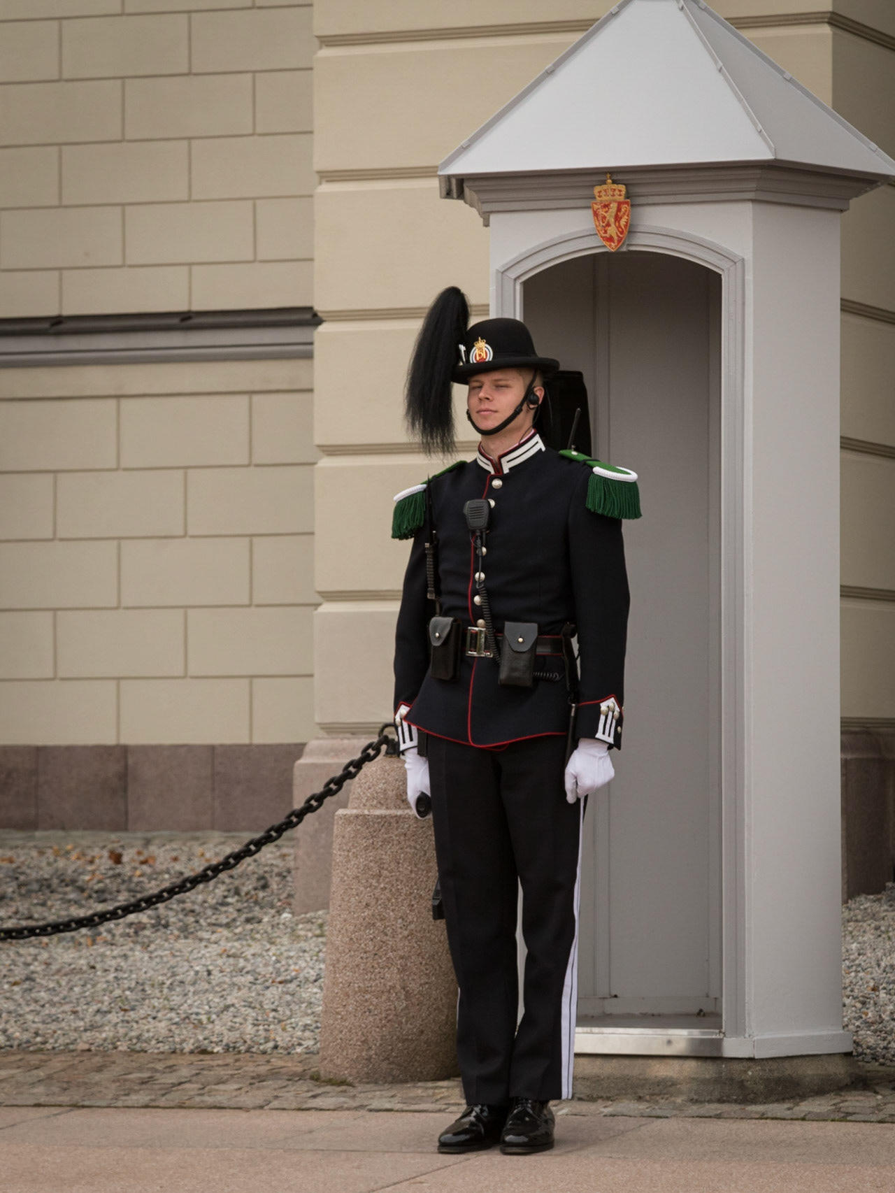 Slottet; The Royal Palace. Guardsman.