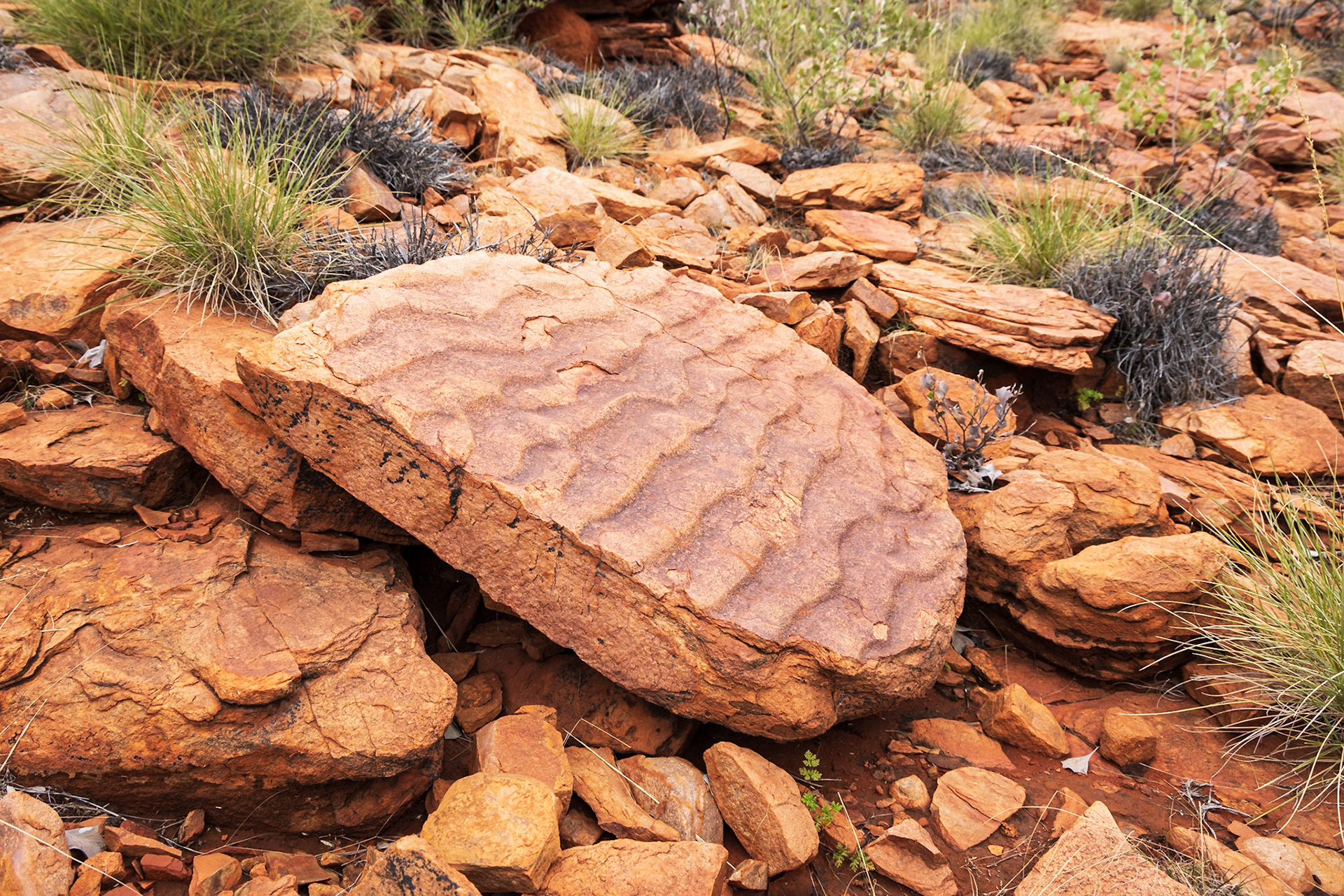 Munderri Outstation surrounds, Day 9
