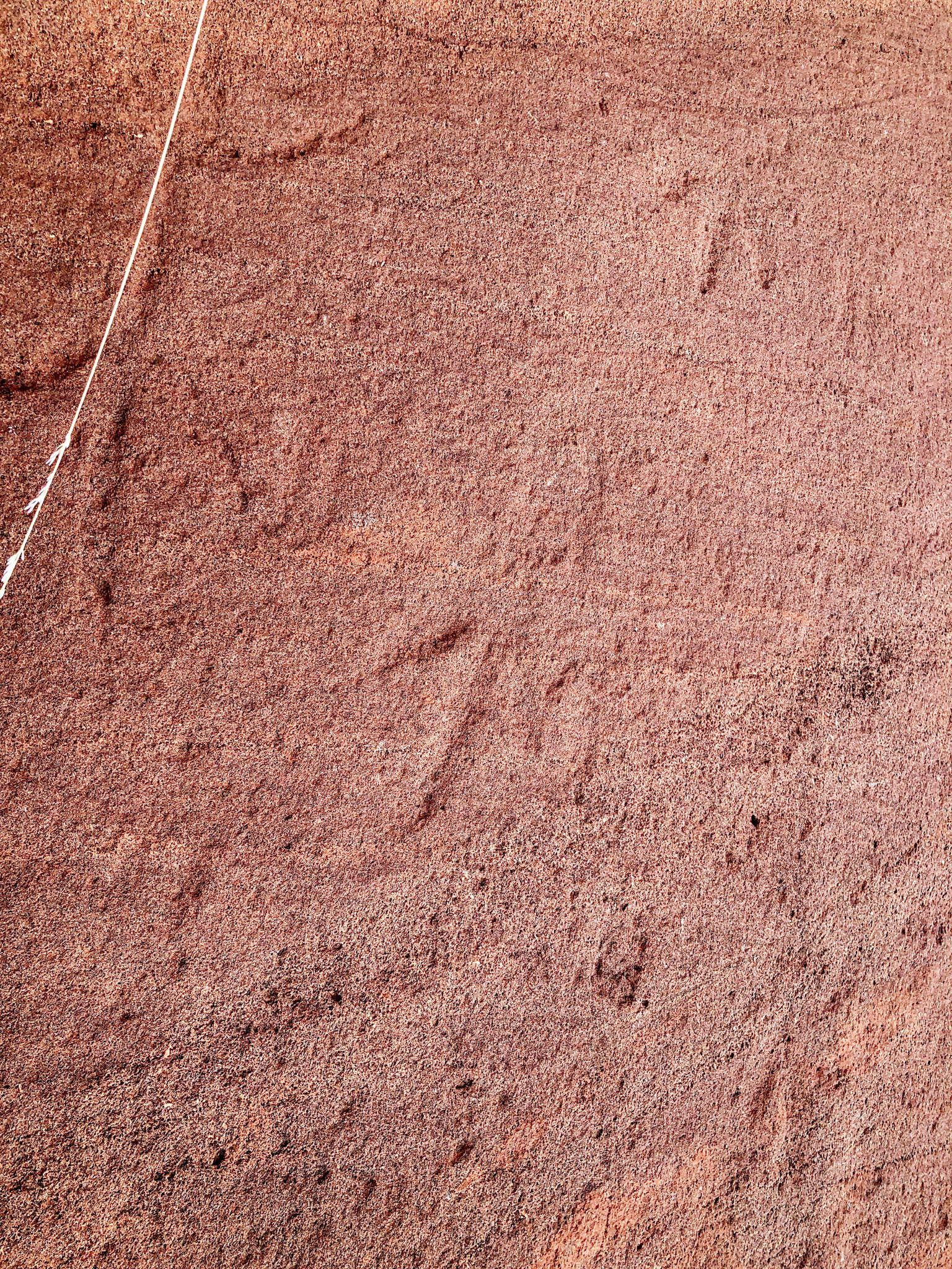 Ancient petroglyph, near the Sandy Blight Junction Road