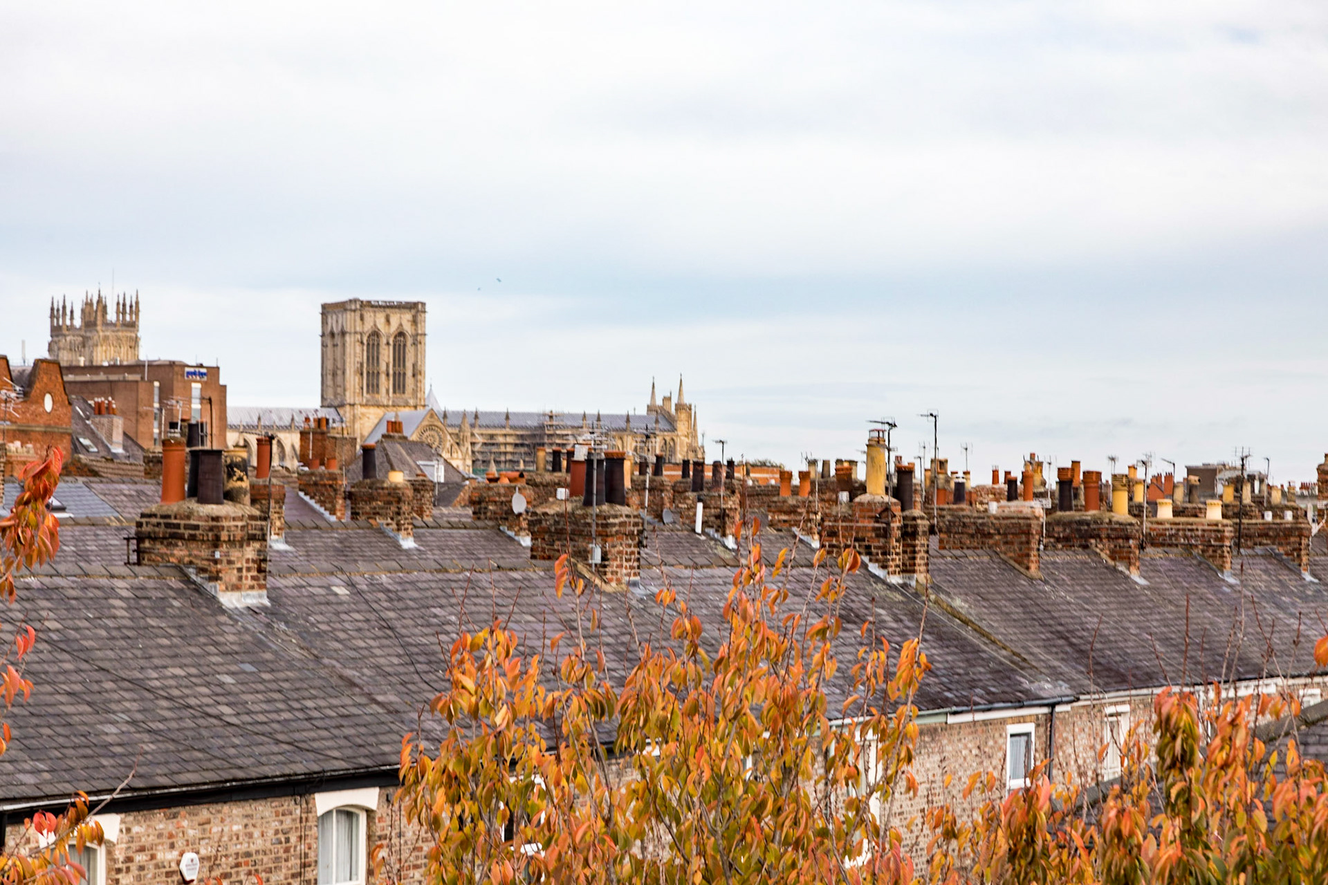 From the city wall, across rooftops to York Minster