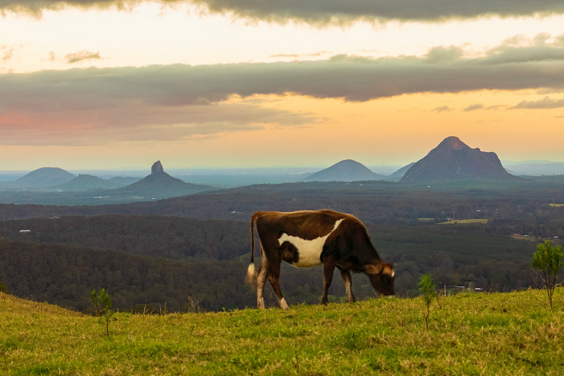 Sunset photo shoot at One Tree Hill, Maleny