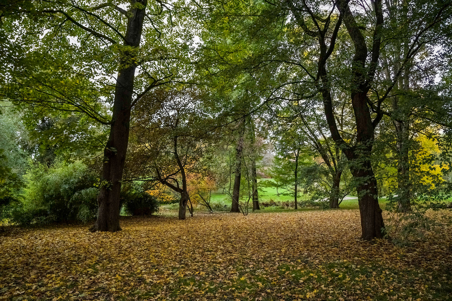 Autumn, in the grounds of the university's Botanical Gardens
