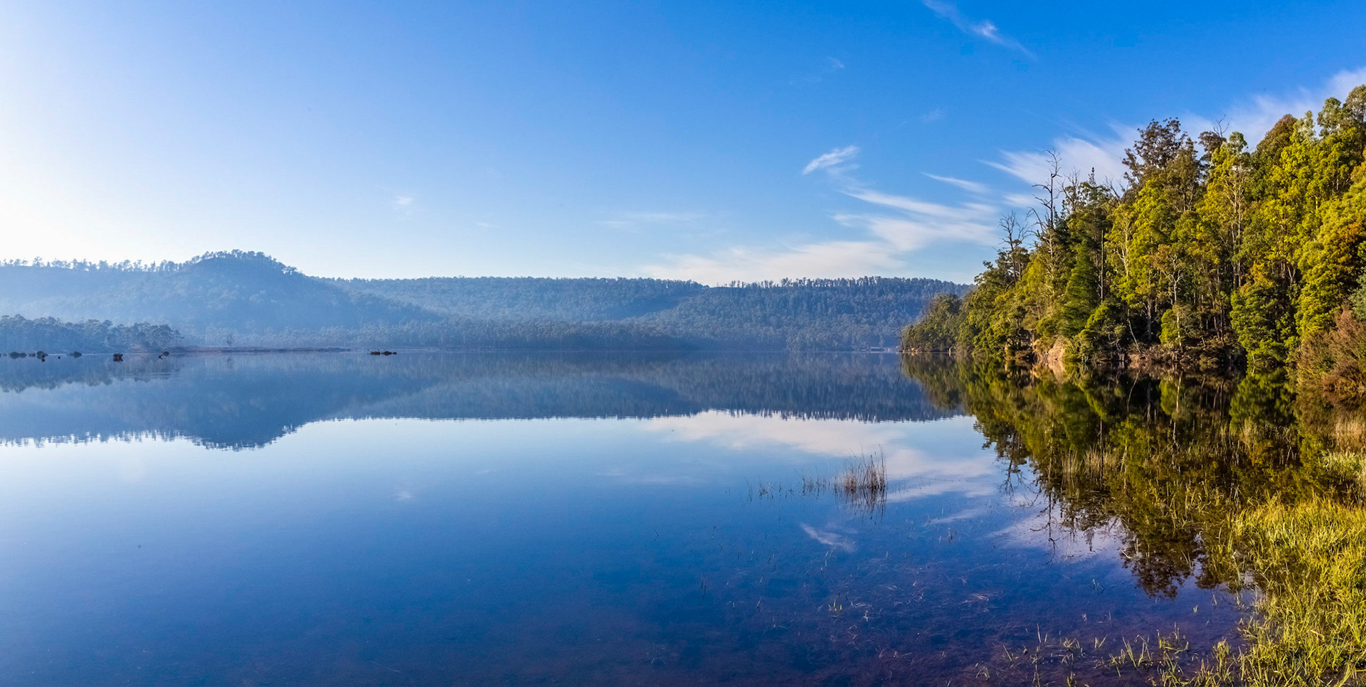 On the edge of the Wayatinah Lagoon