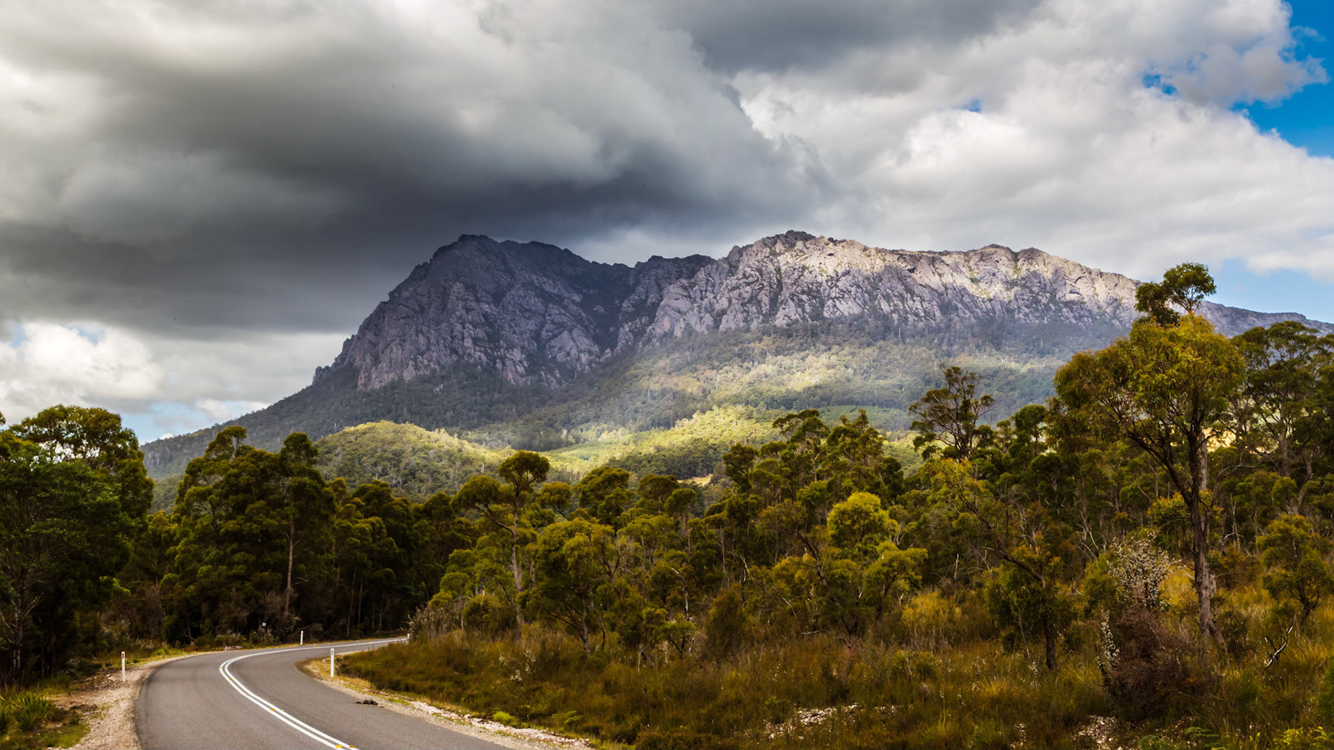 Mount Roland, from Gowrie Park
