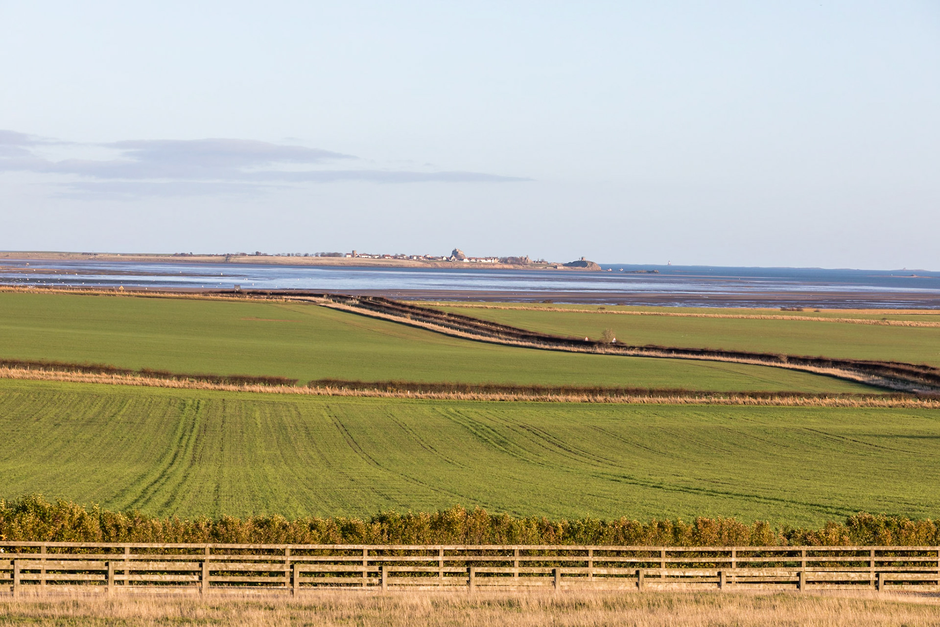 Across fields over to Holy Island and Lindisfarne