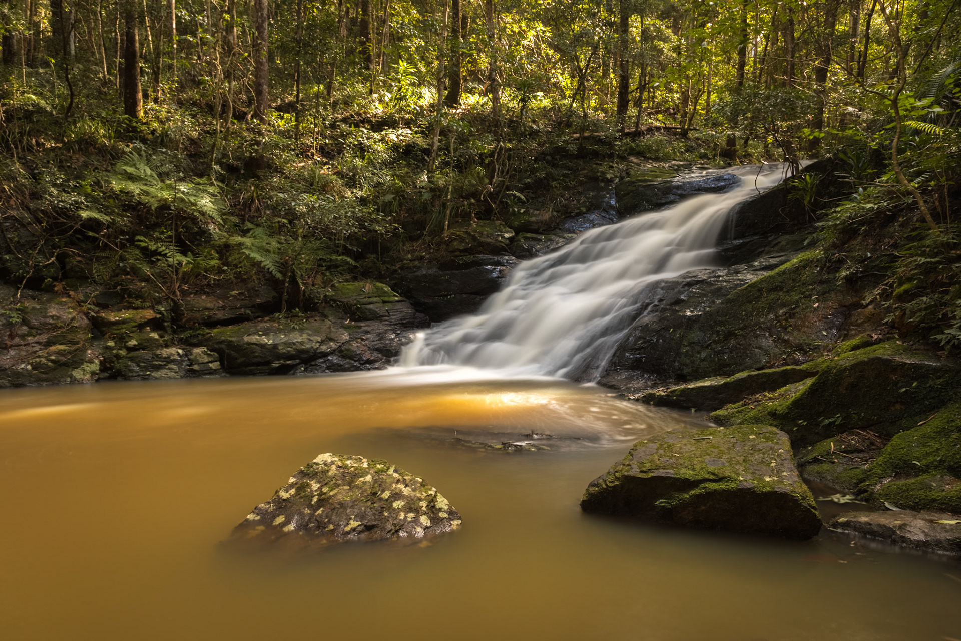 At Kondalilla Falls (upper), Montville