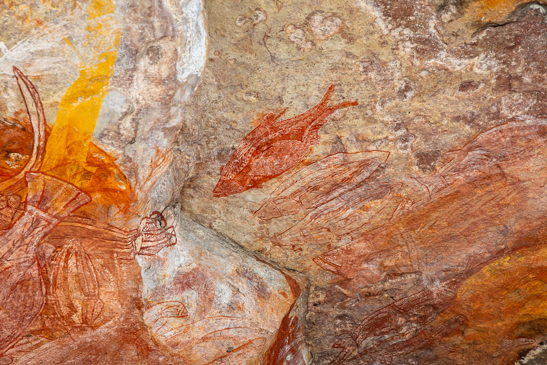 Injalak Hill Rock Art Galleries