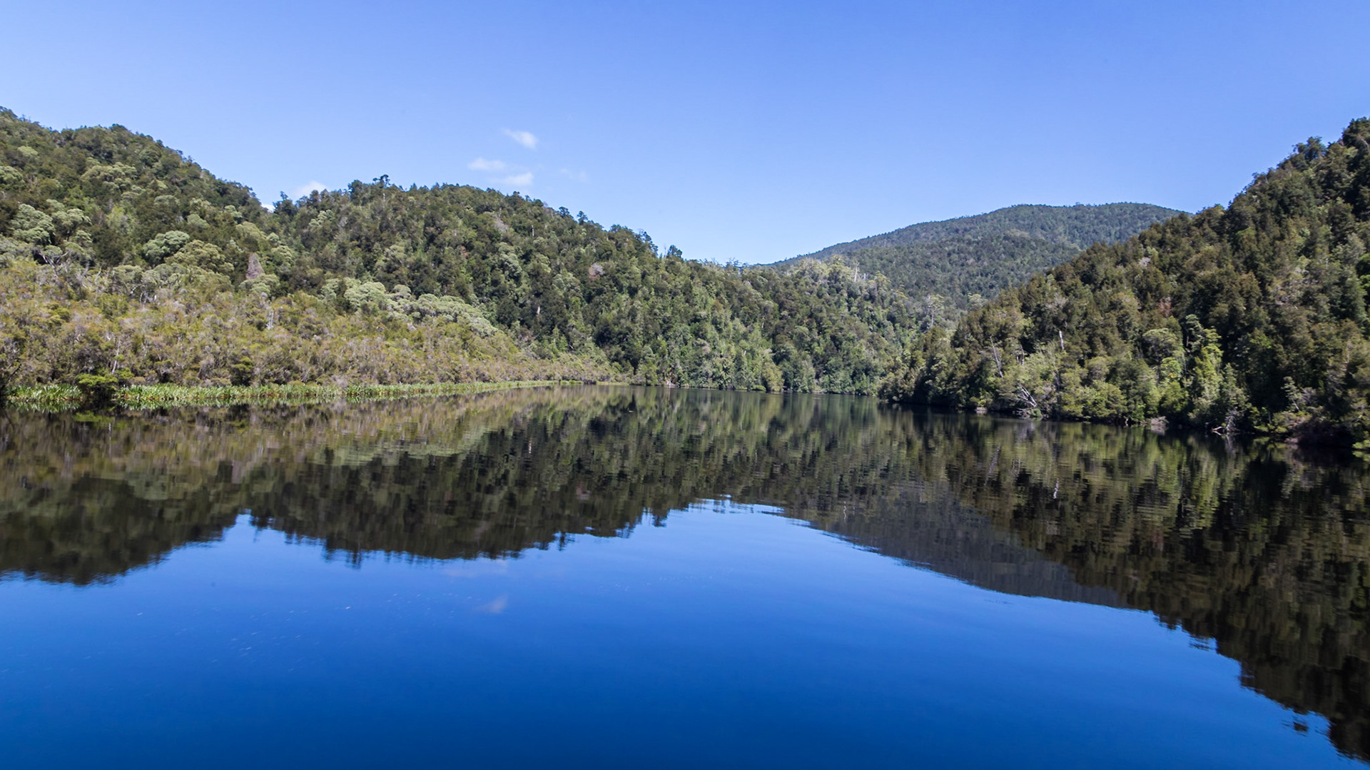 Along the Gordon River