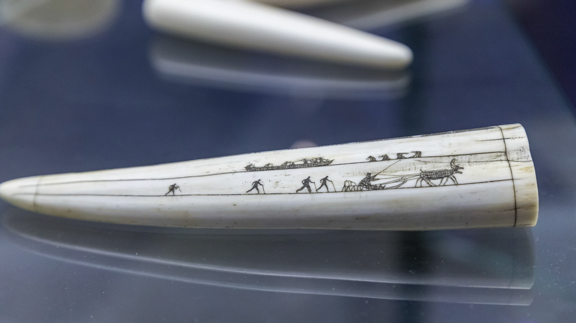 Inscribed walrus tooth. In the Fram Museum