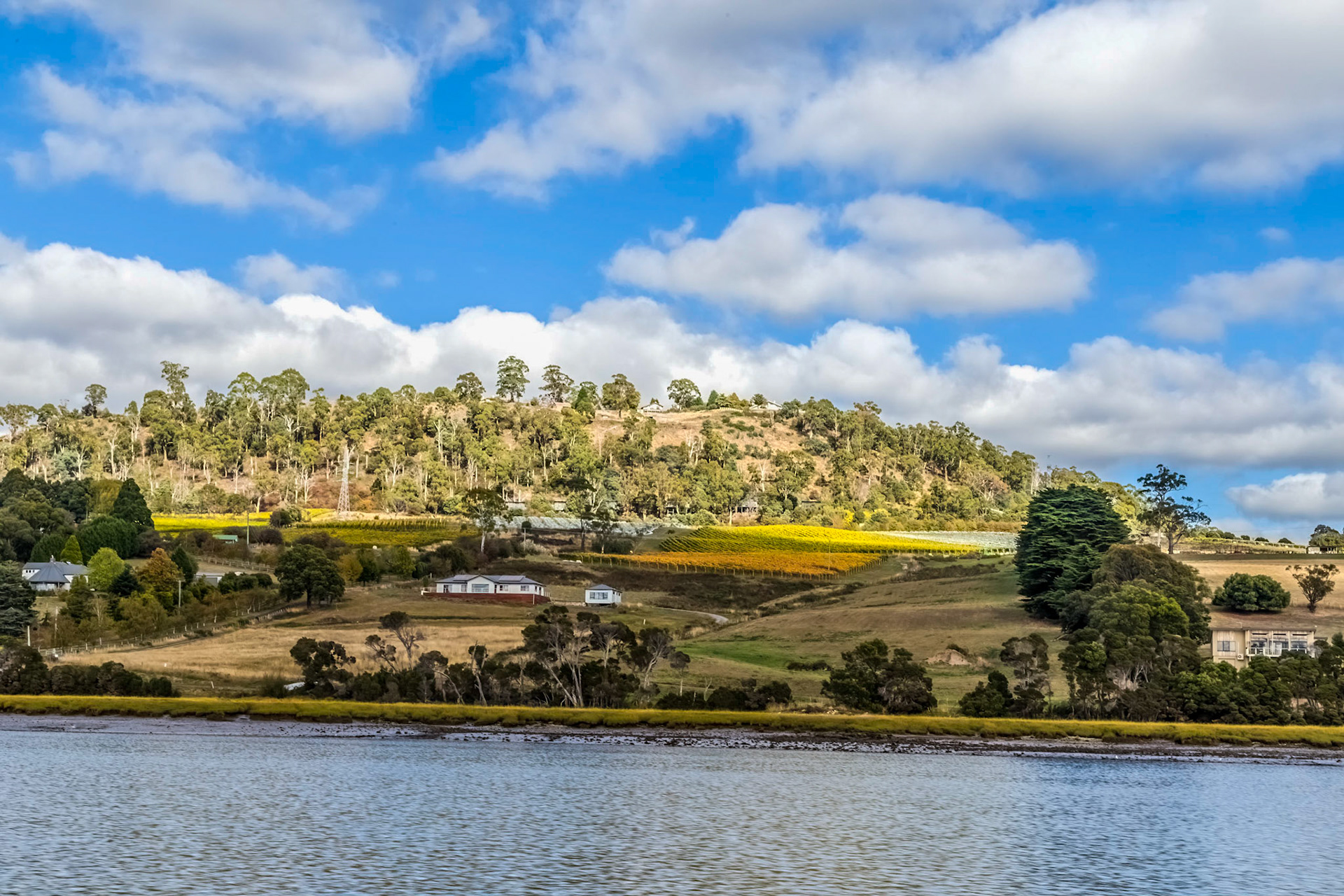 'Tamar Odyssey' river cruise
