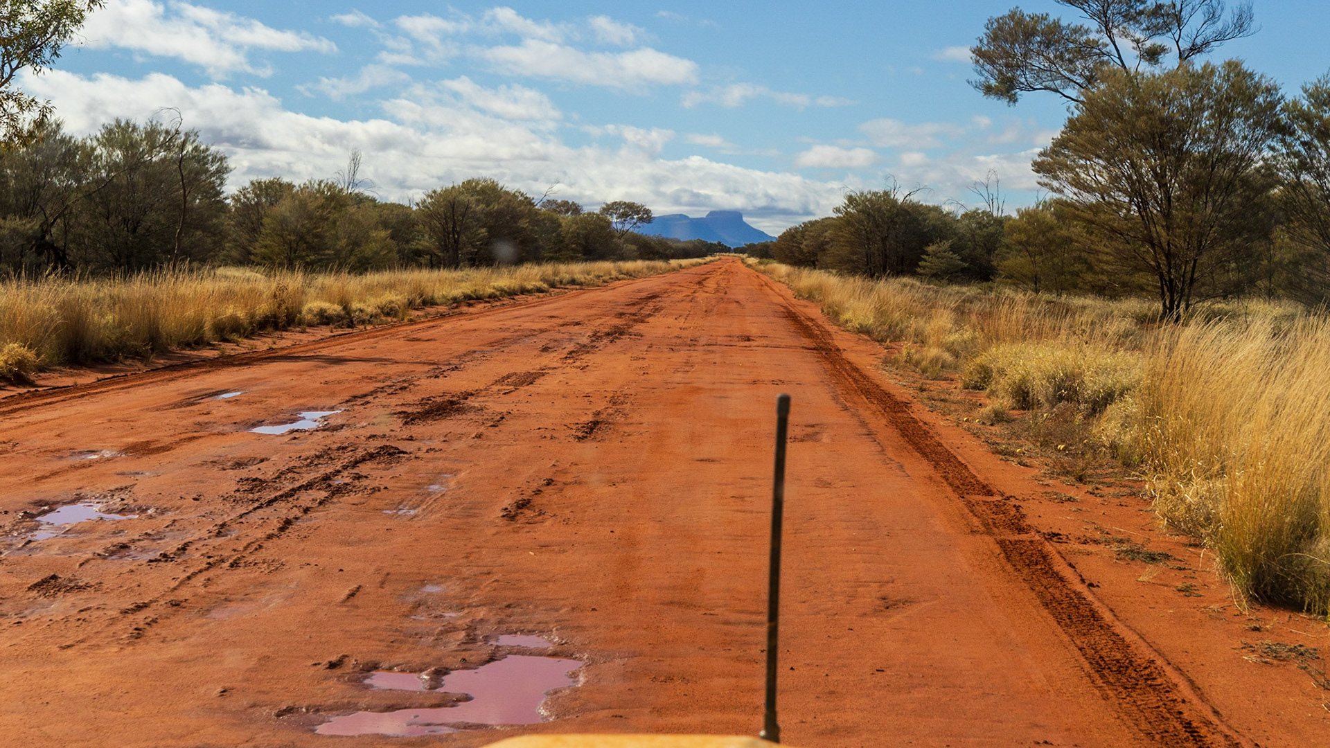Along Kintore Road, Mt Liebig coming in to view