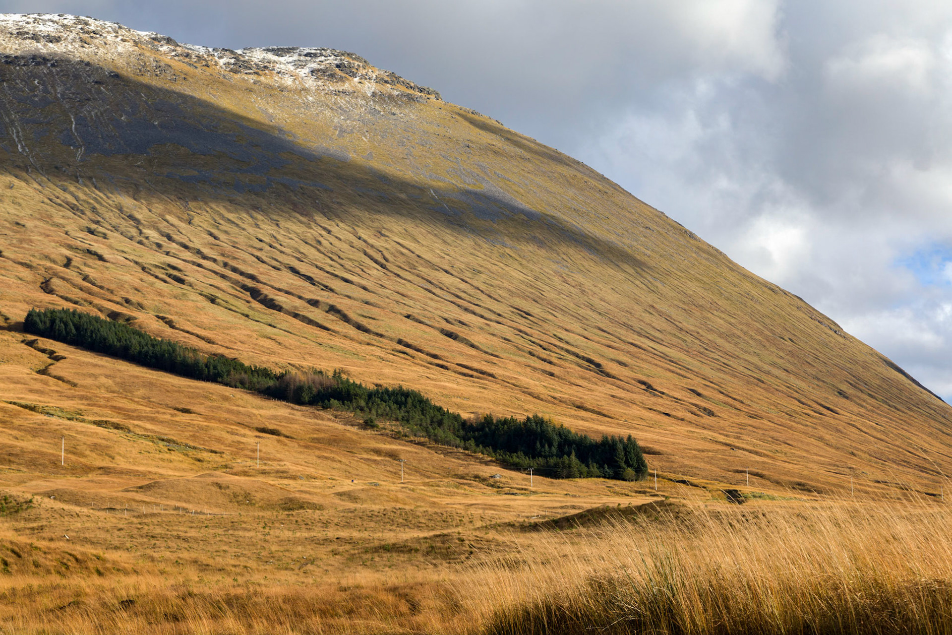 Passing through Rannoch Moor (A82) near Bridge of Orchy.