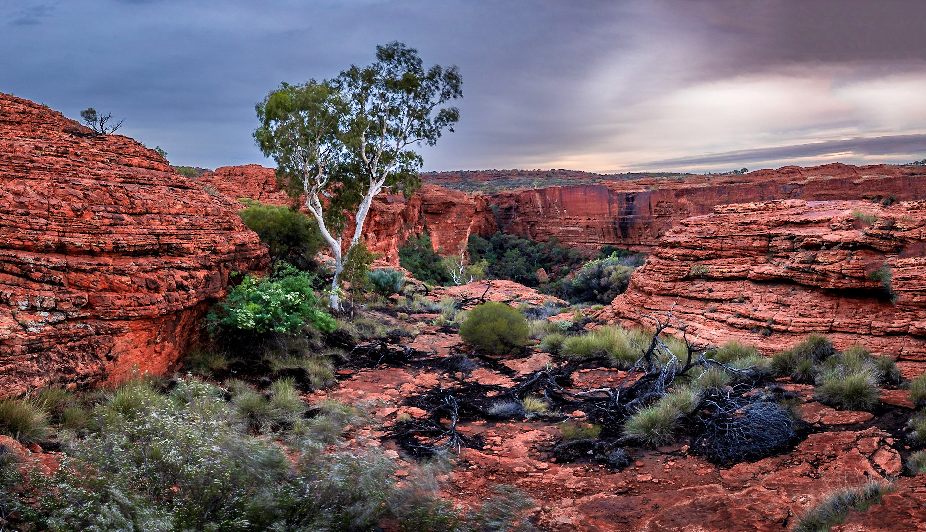 Sunrise shoot at Kings Canyon Rim Walk: cloudy sunrise