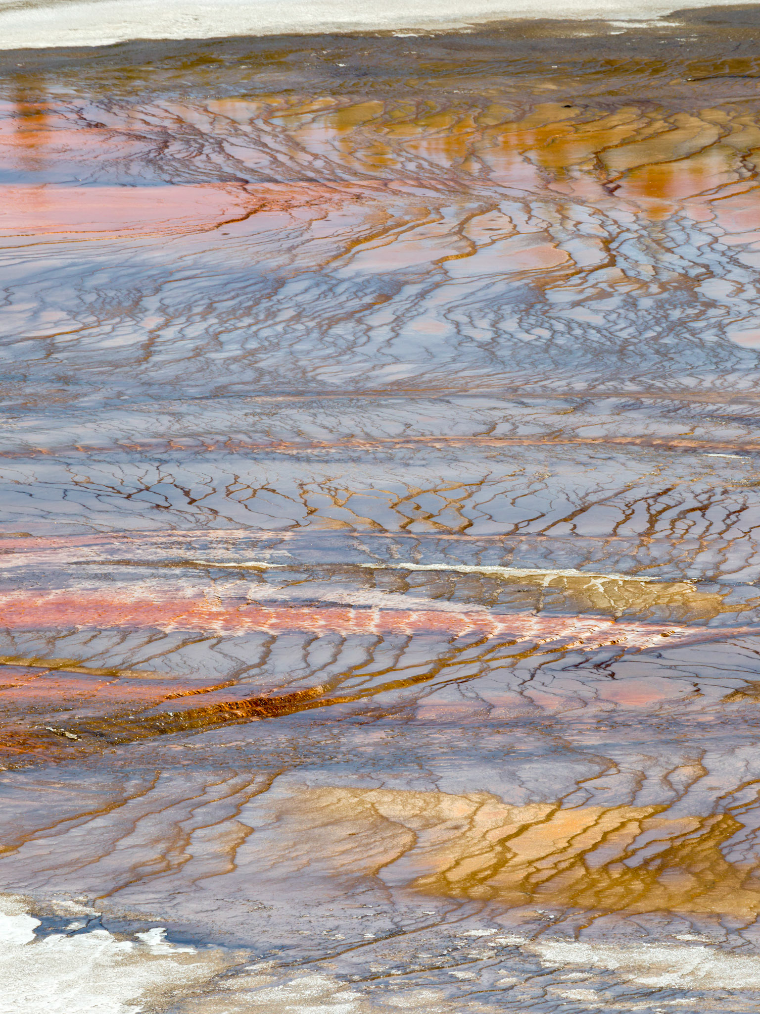 Midway Geyser Basin, Yellowstone National Park, Wyoming.