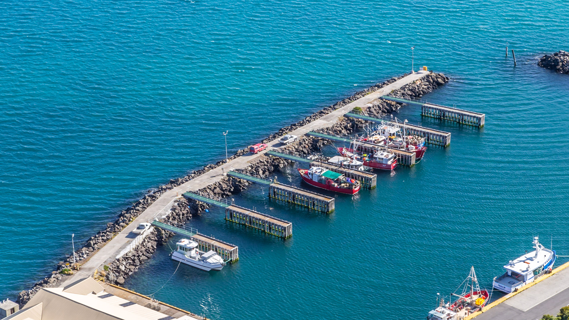 On 'The Nut', Fishermans Wharf Lookout