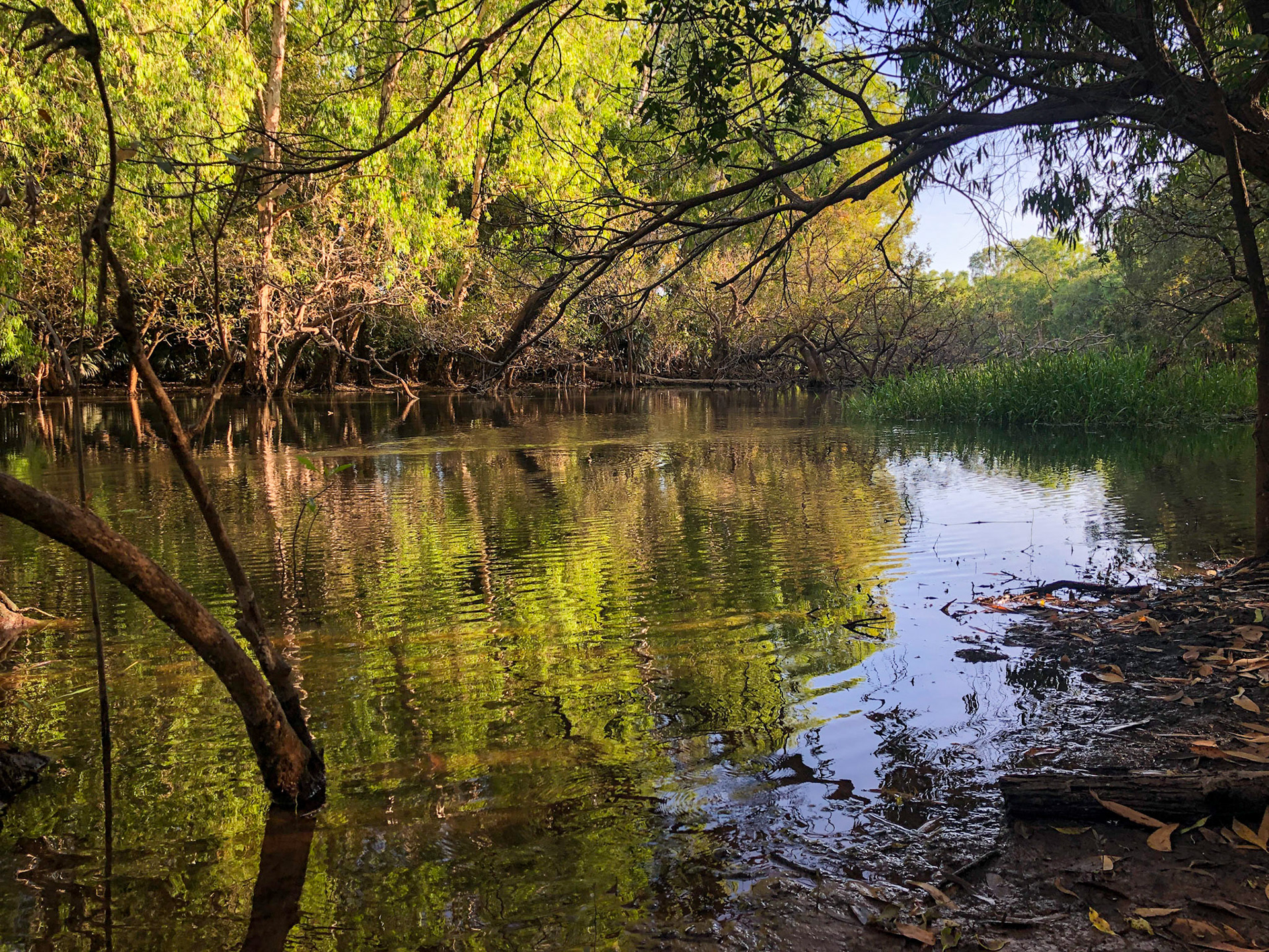 Murgenella Road, Waulk Creek crossing