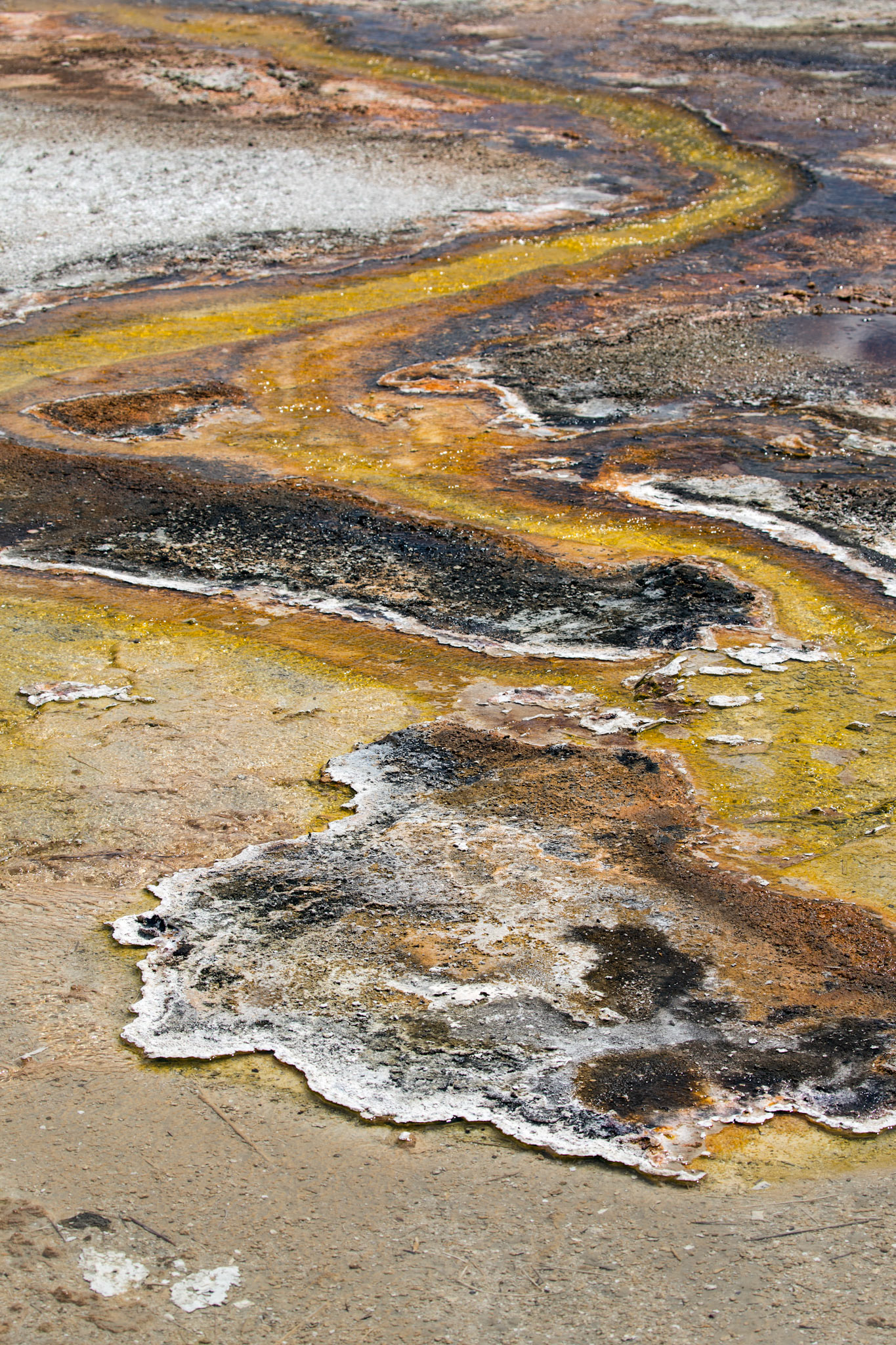 Black Sand Basin, Yellowstone National Park, Wyoming.