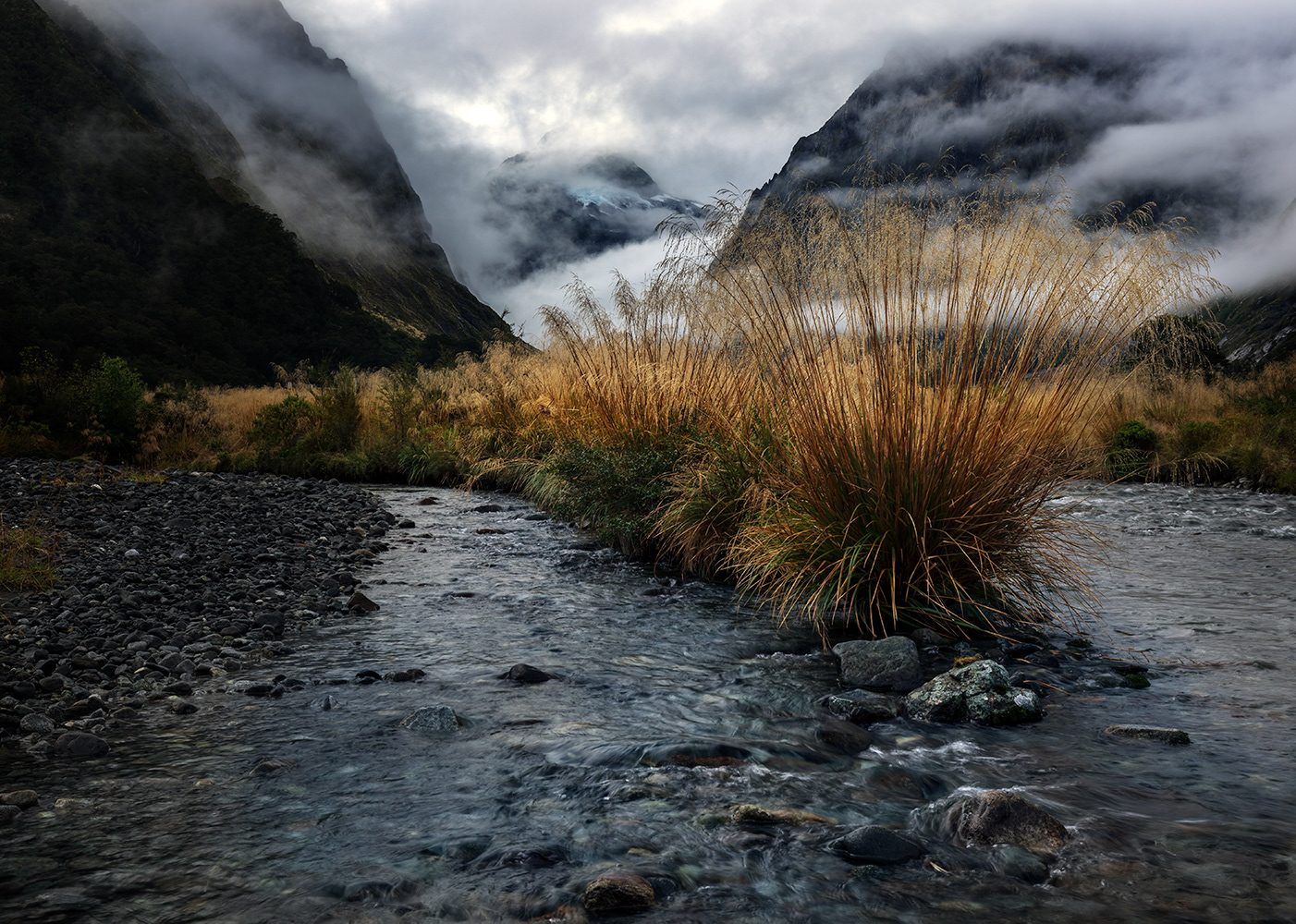 Monkey Creek, near the Milford Sound Highway
