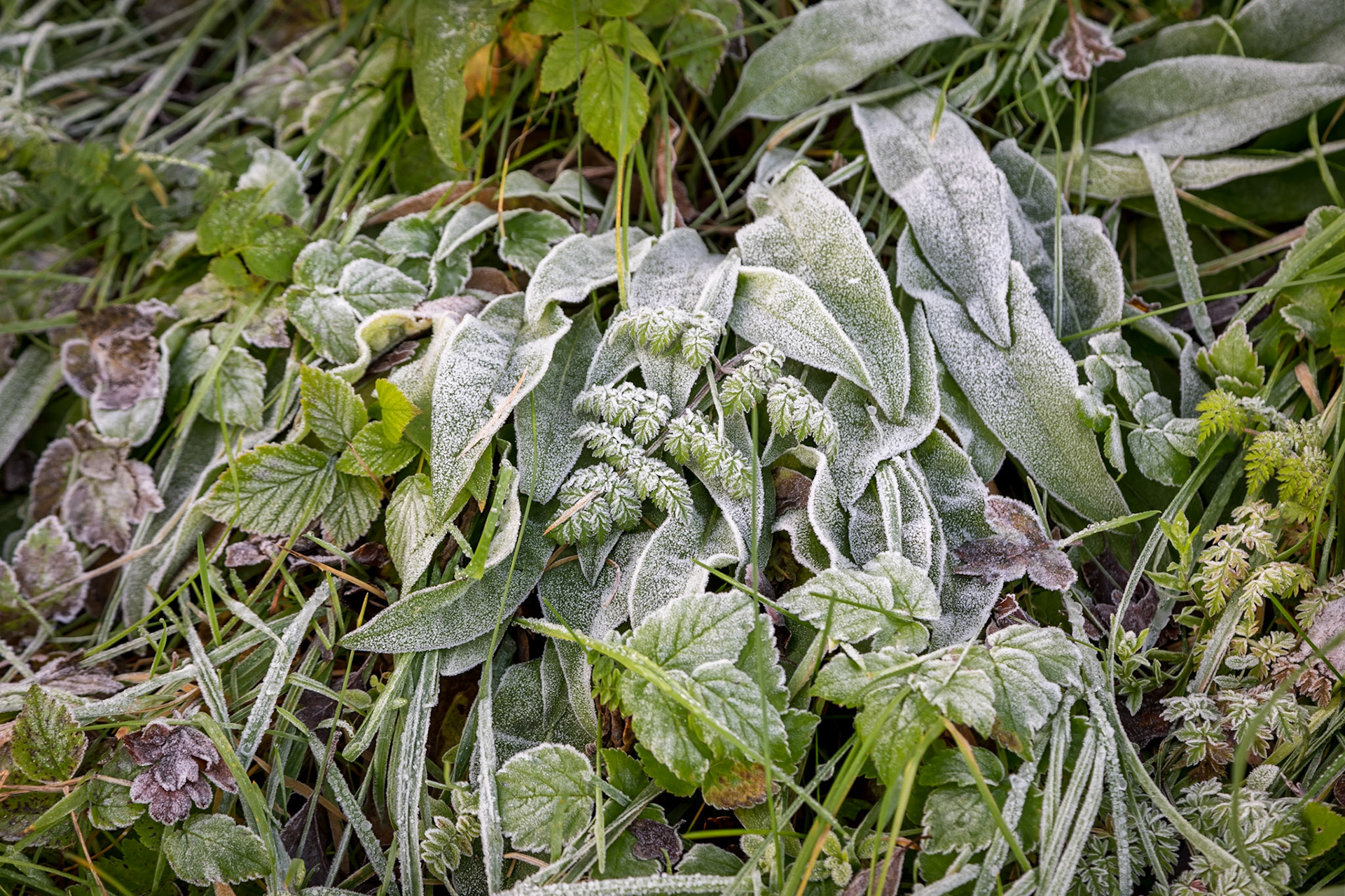 Early morning frost at Ballachulish