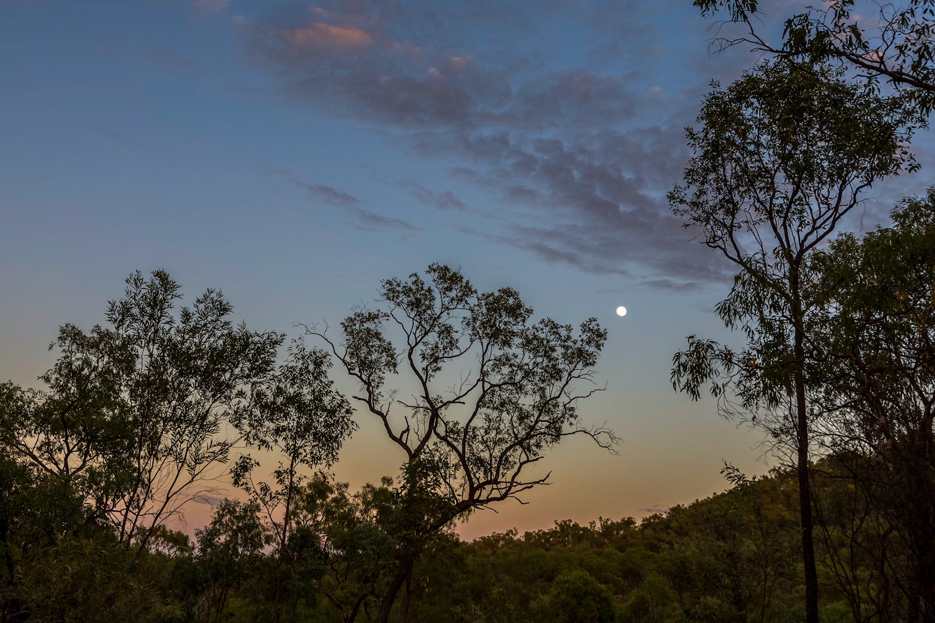 Full moon setting at sunrise. Pre-dawn hike to Russell's Lookout, 4.5km return  (Grade 3 difficulty).