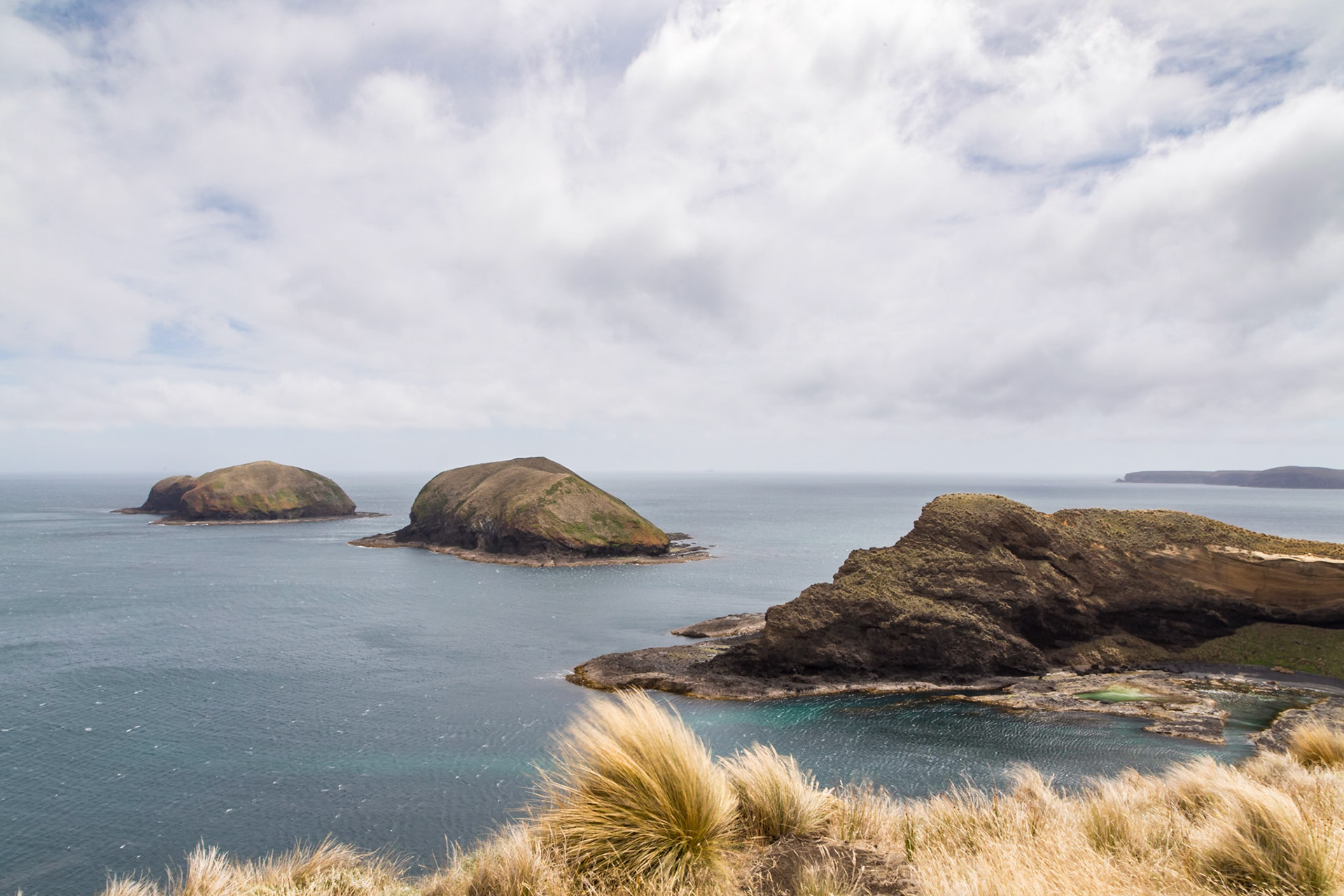 'The Doughboys', Woolnorth, Cape Grim