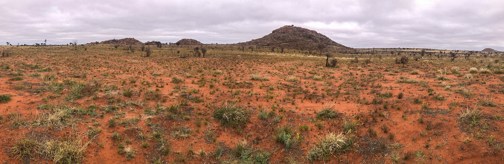 Travel on Kintore Road towards Papunya