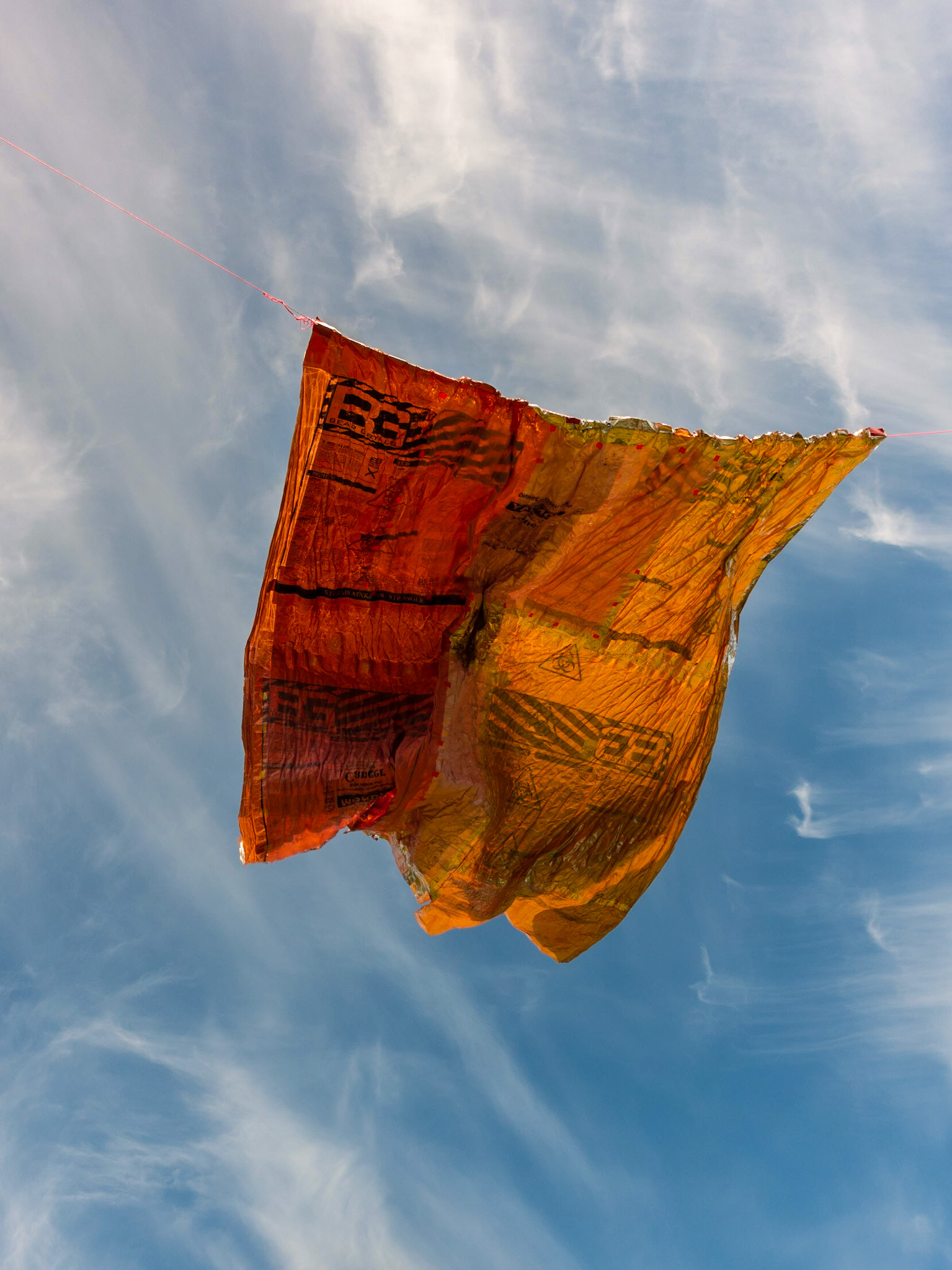 On Waiheke Island; 'Sculpture on the Gulf'