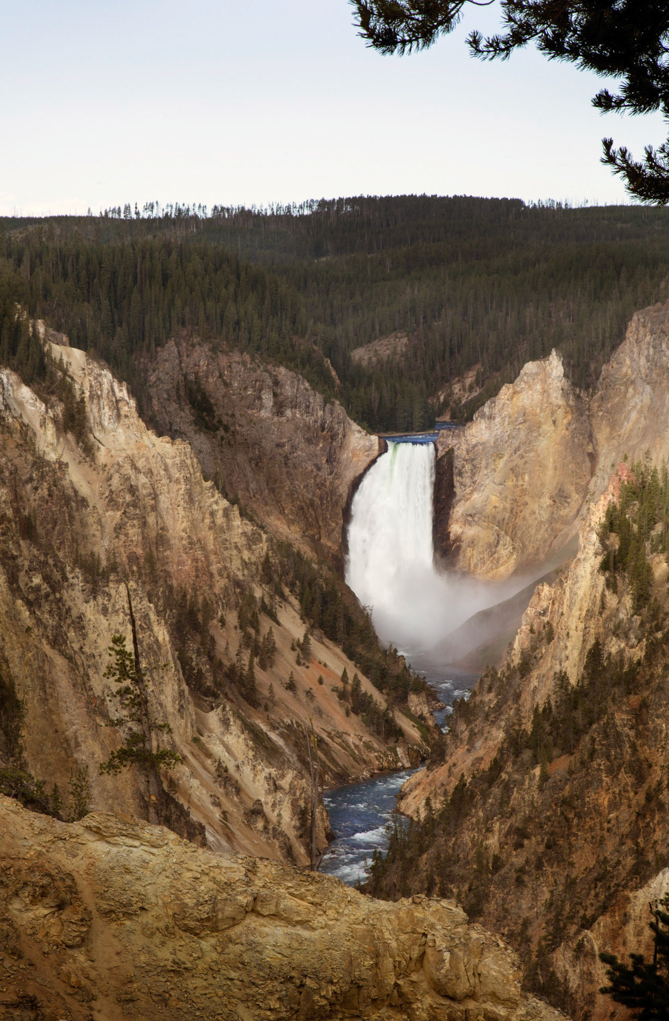 Lower Falls of the Yellowstone, Artist Point
