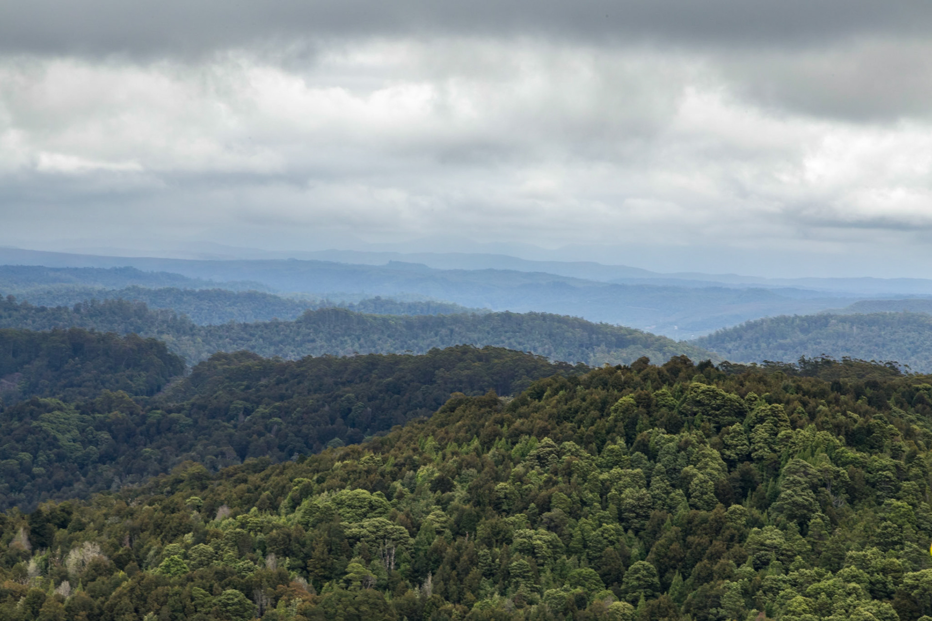 View from Whyte Hill Lookout, along  B23 Waratah Road
