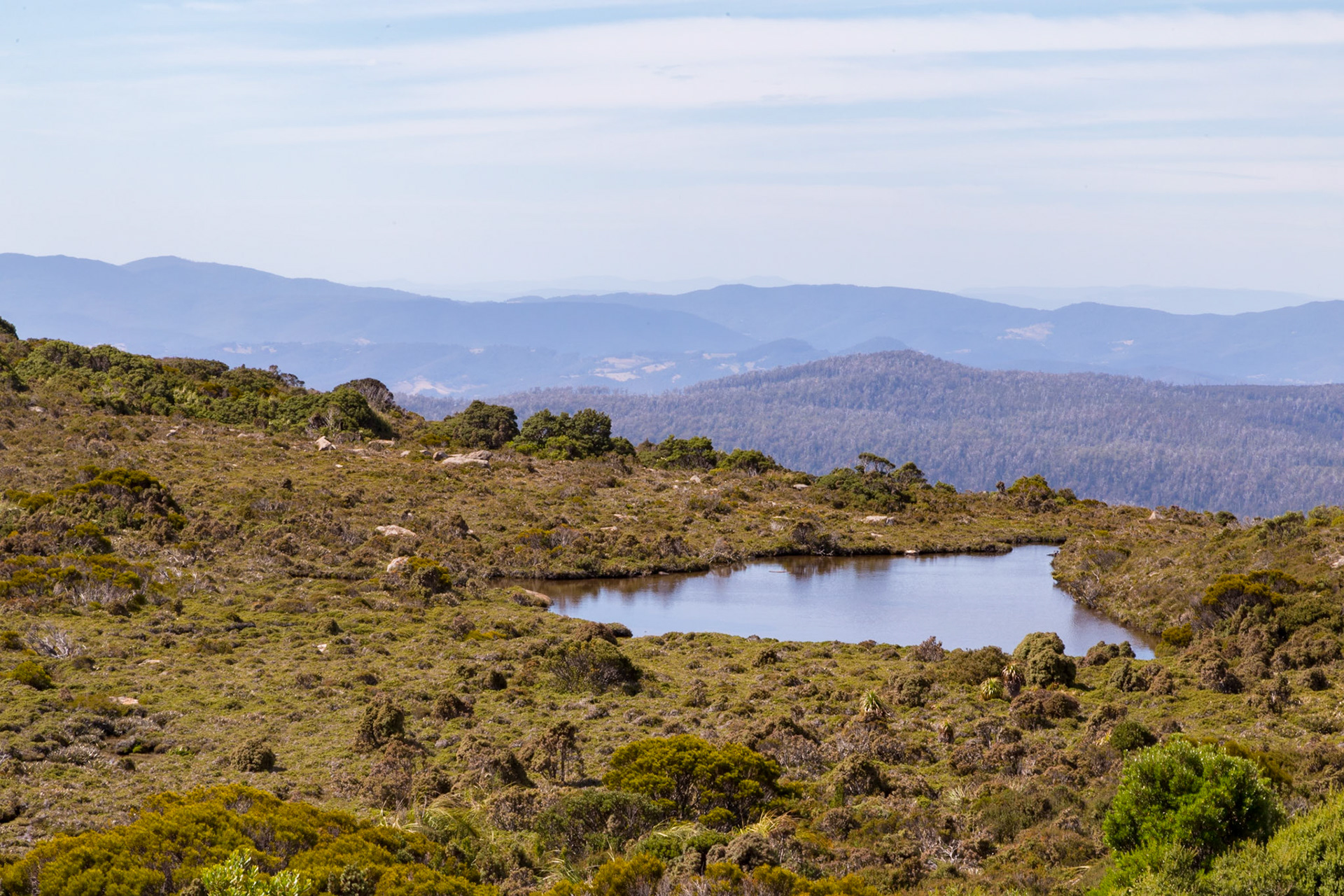 Hartz Mountains National Park