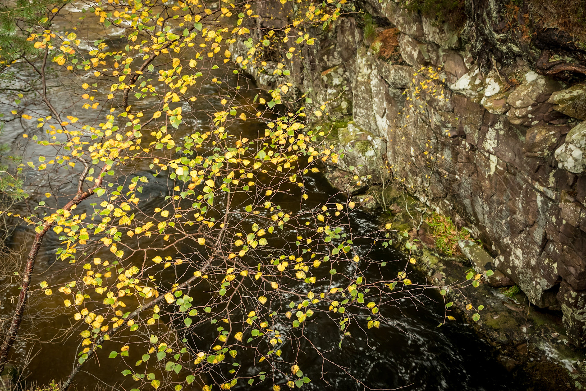 Where the A832 crosses the River Gruide