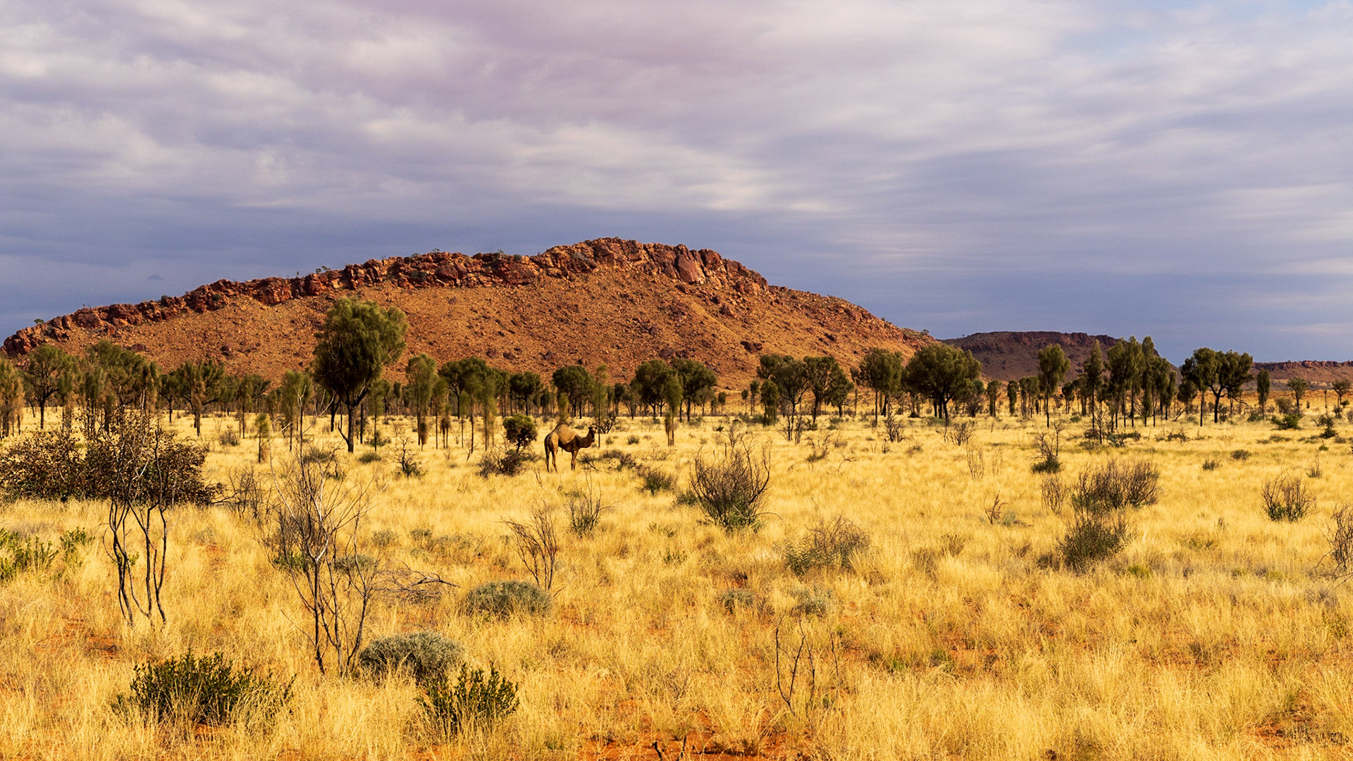 Sandy Blight Junction Road
