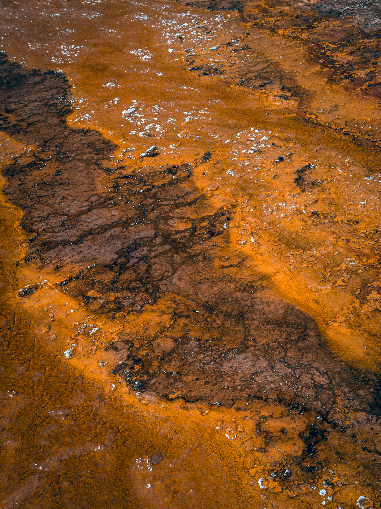 West Thumb Geyser Basin, Yellowstone National Park, Wyoming.