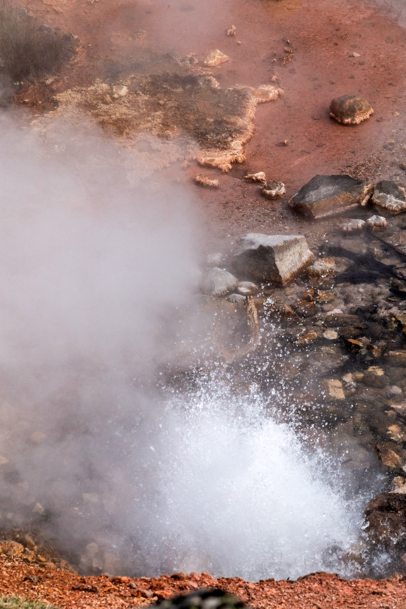Blood Geyser. Artist Paint Pot Trail, Yellowstone National Park, Wyoming.