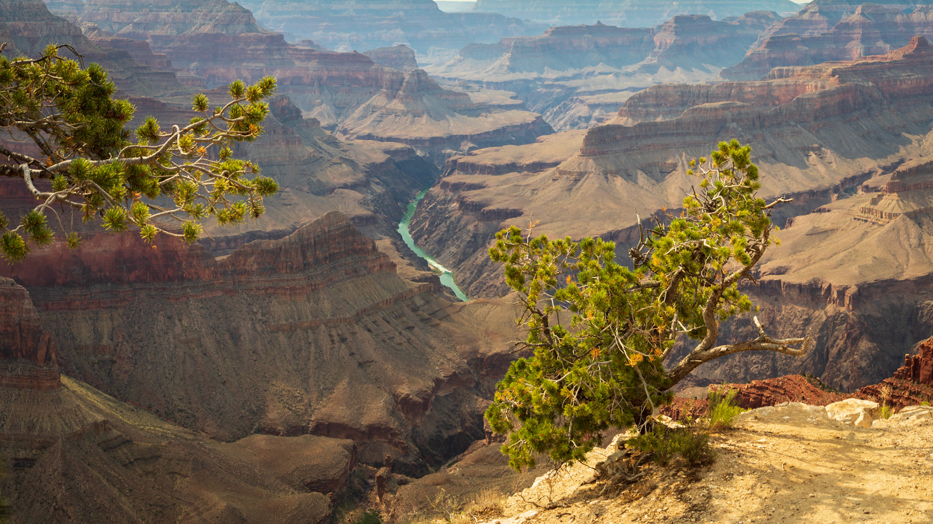 The Colorado River seen from Mohave Point