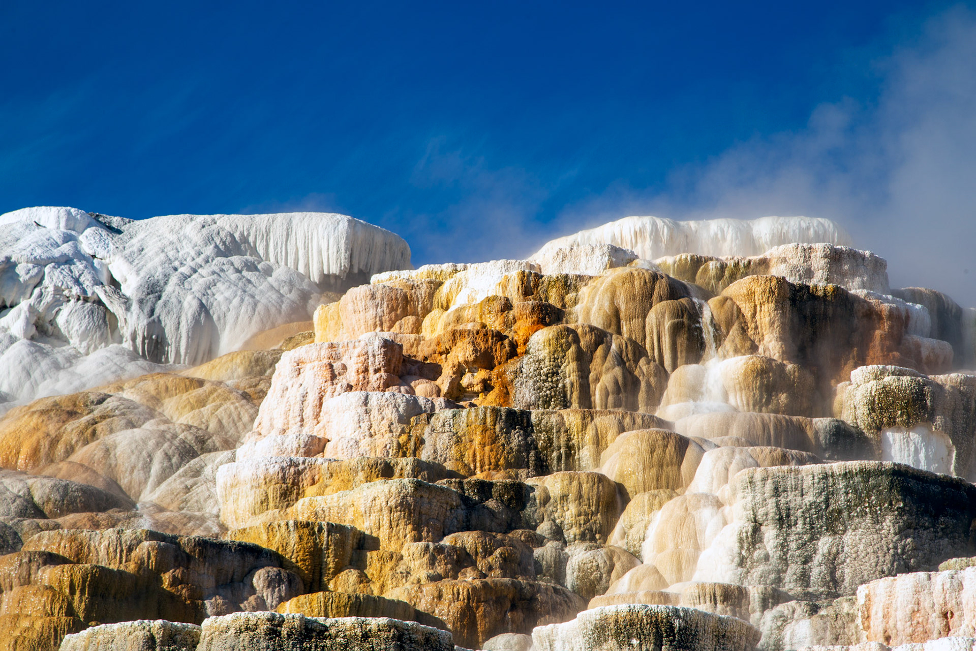 Upper Terraces, Mammoth Hot Springs. Yellowstone National Park, Wyoming.