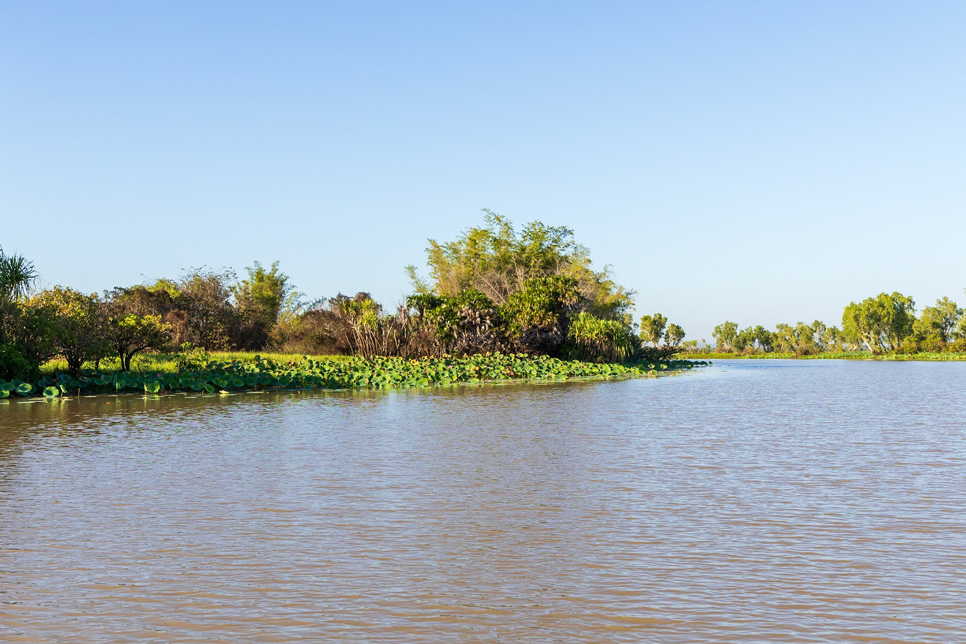 Corroborrie Billabong, Mary River