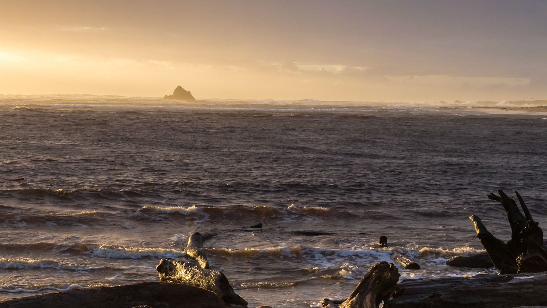 Setting sun in the West.At the Edge of the World; Arthur River.