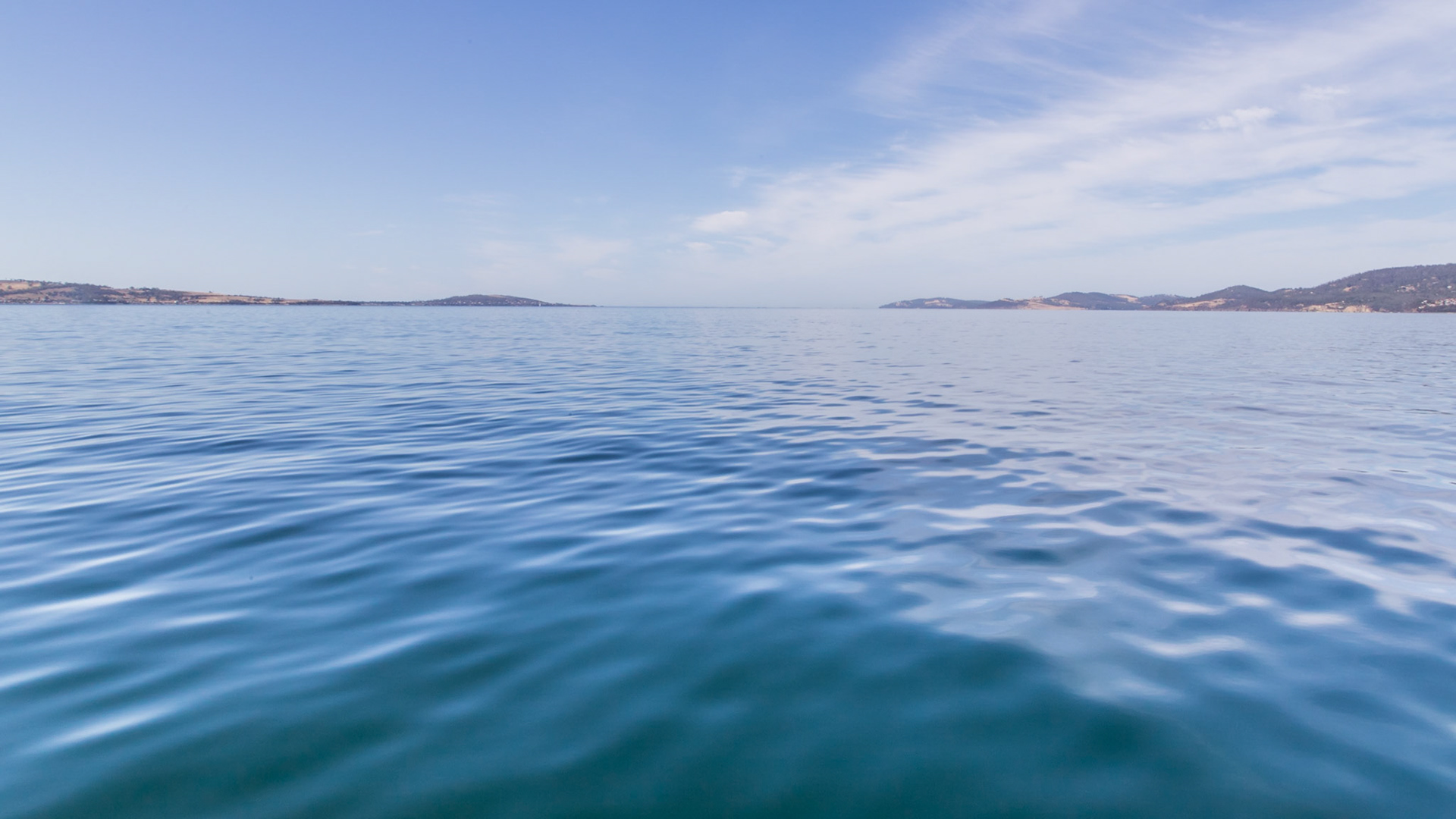 In the lower Derwent River